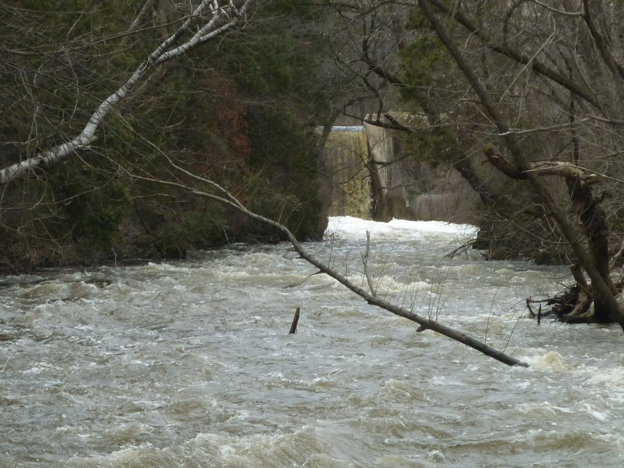 Looking upstream to Nail Factory Dam