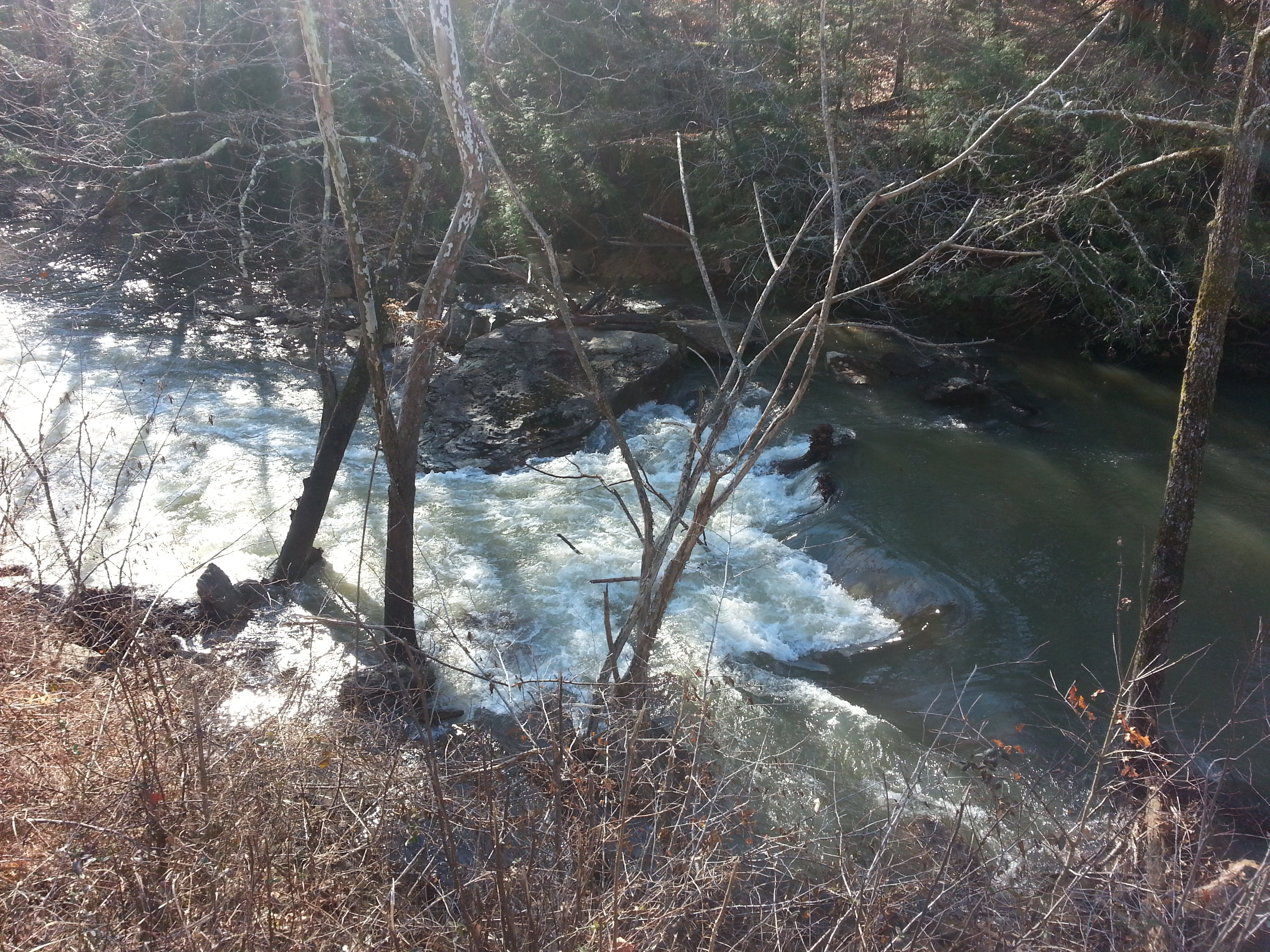 Lumberjack Ledge