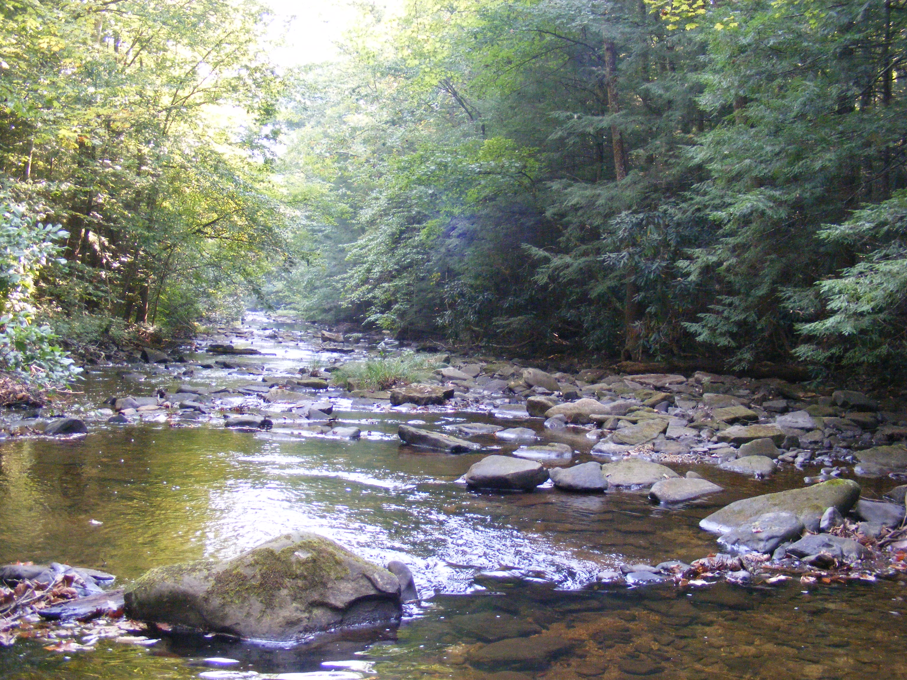 Upper Rock Creek