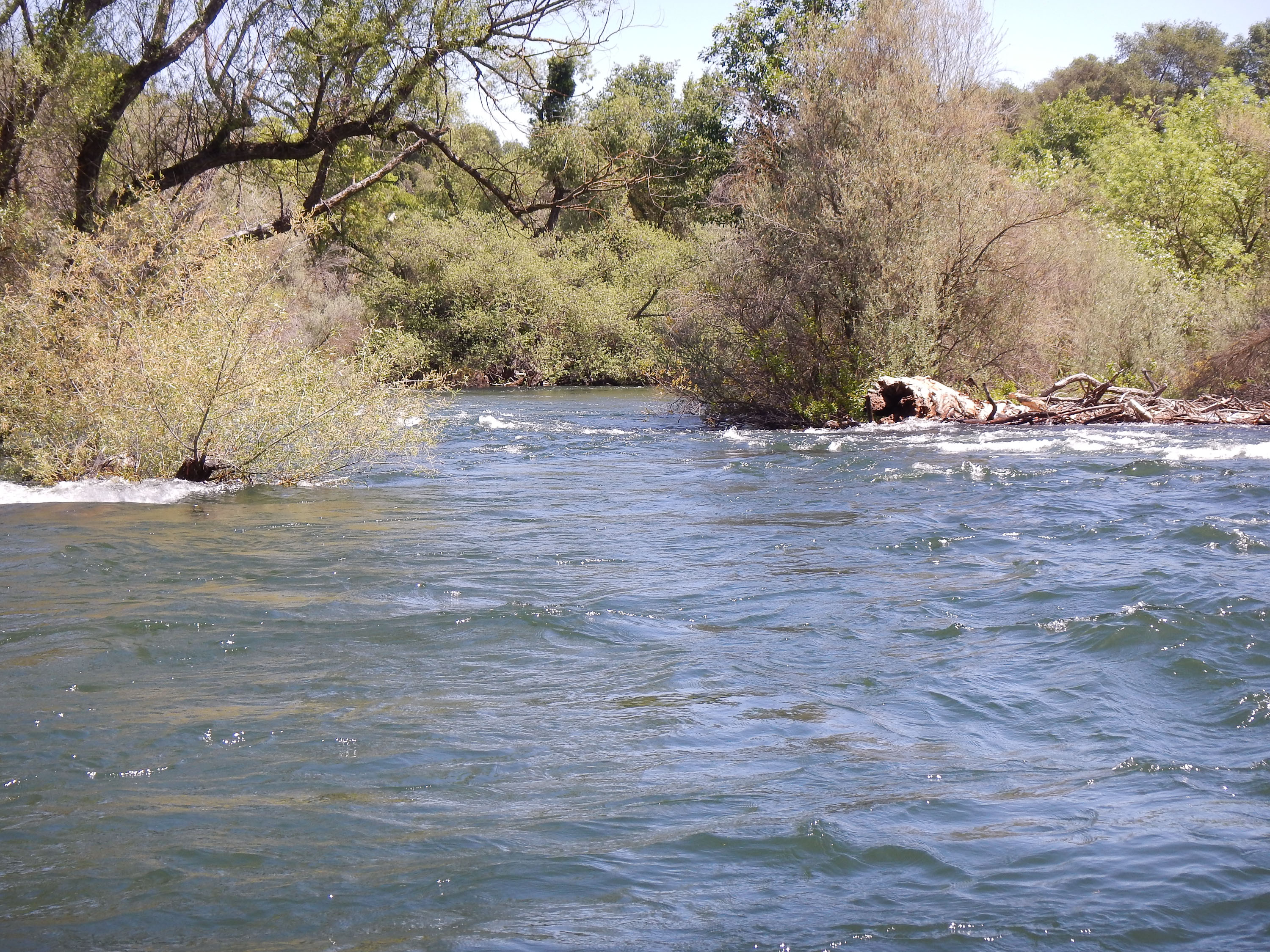 Narrow Riffle