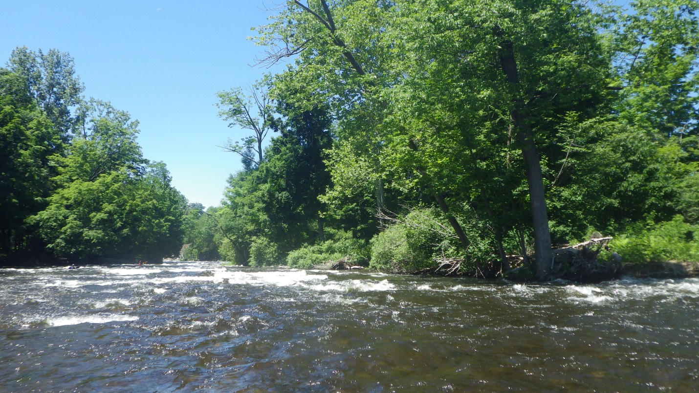Town Rapid