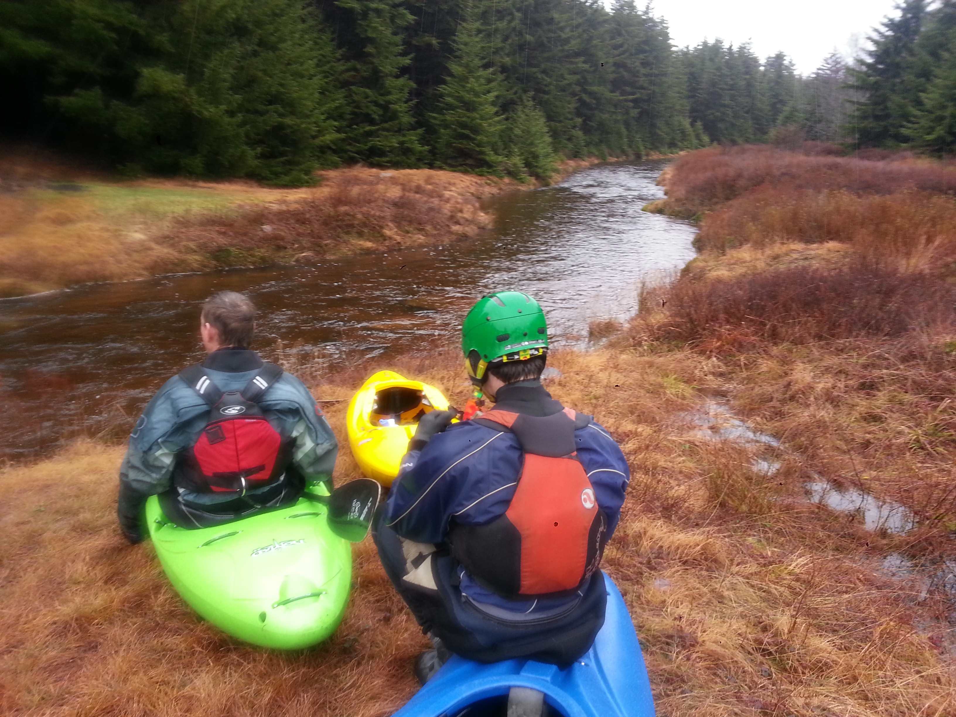 Left Branch of Red Creek