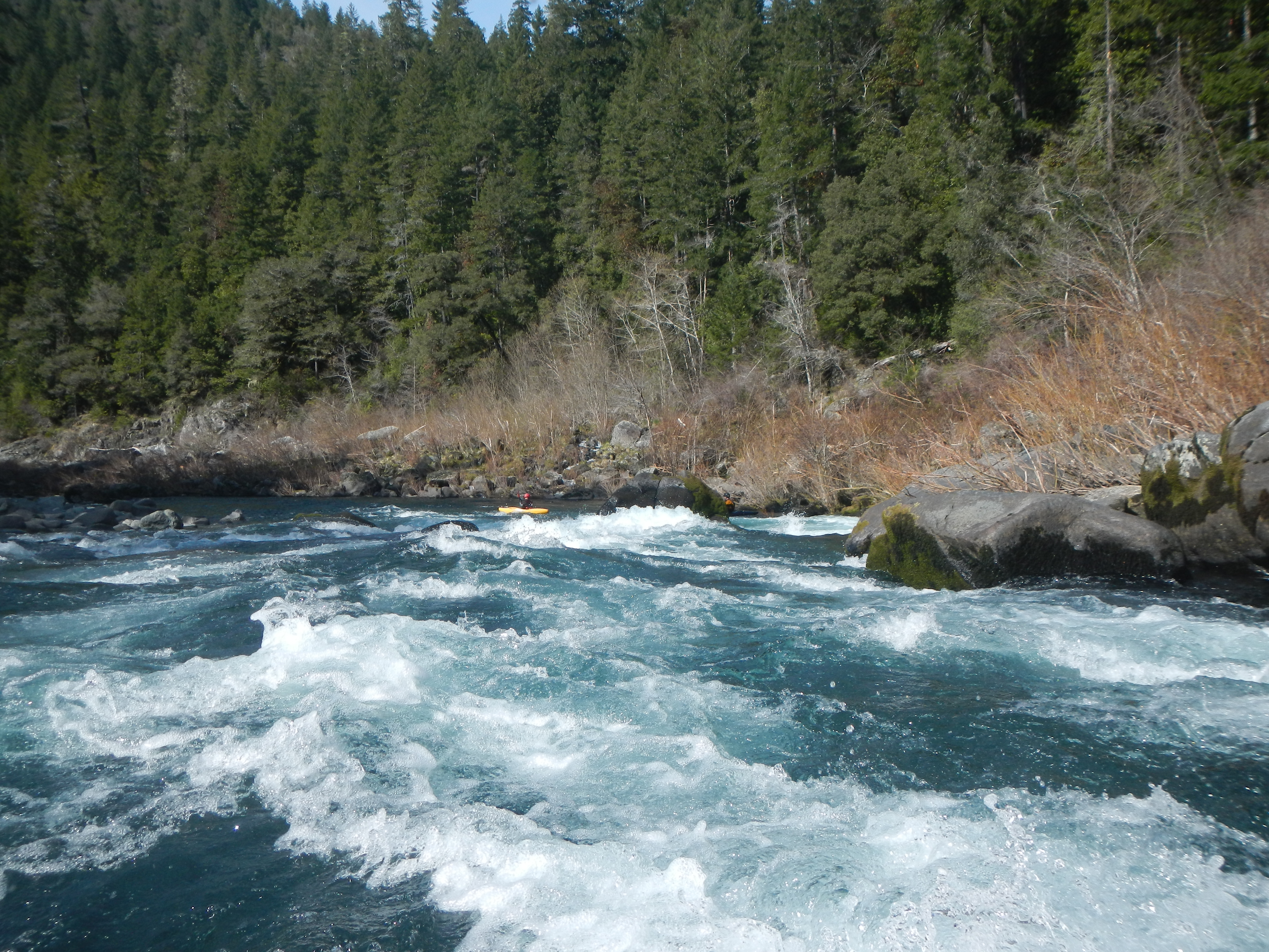 Coon Creek