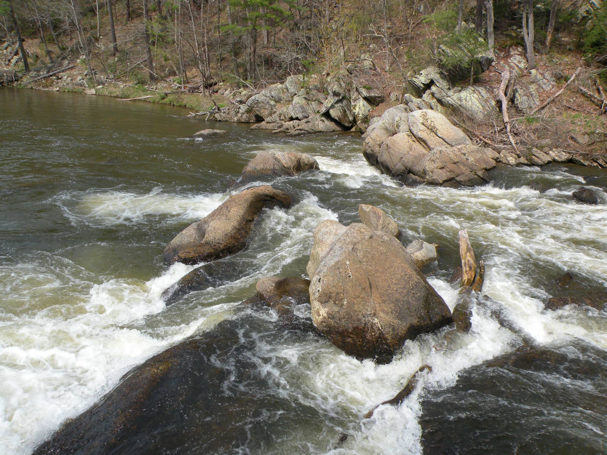 Bear Cub Falls