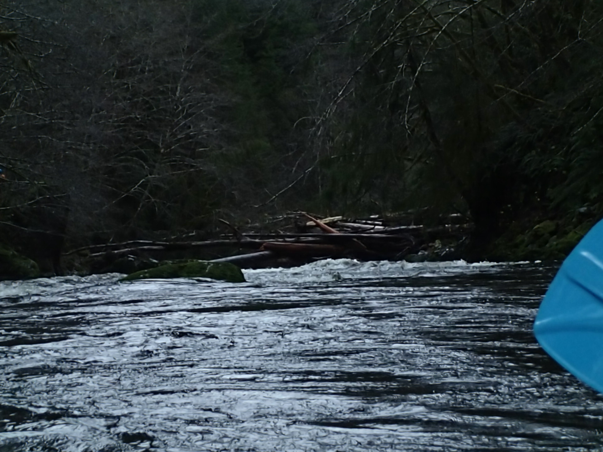 Log Jam at start of second canyon
