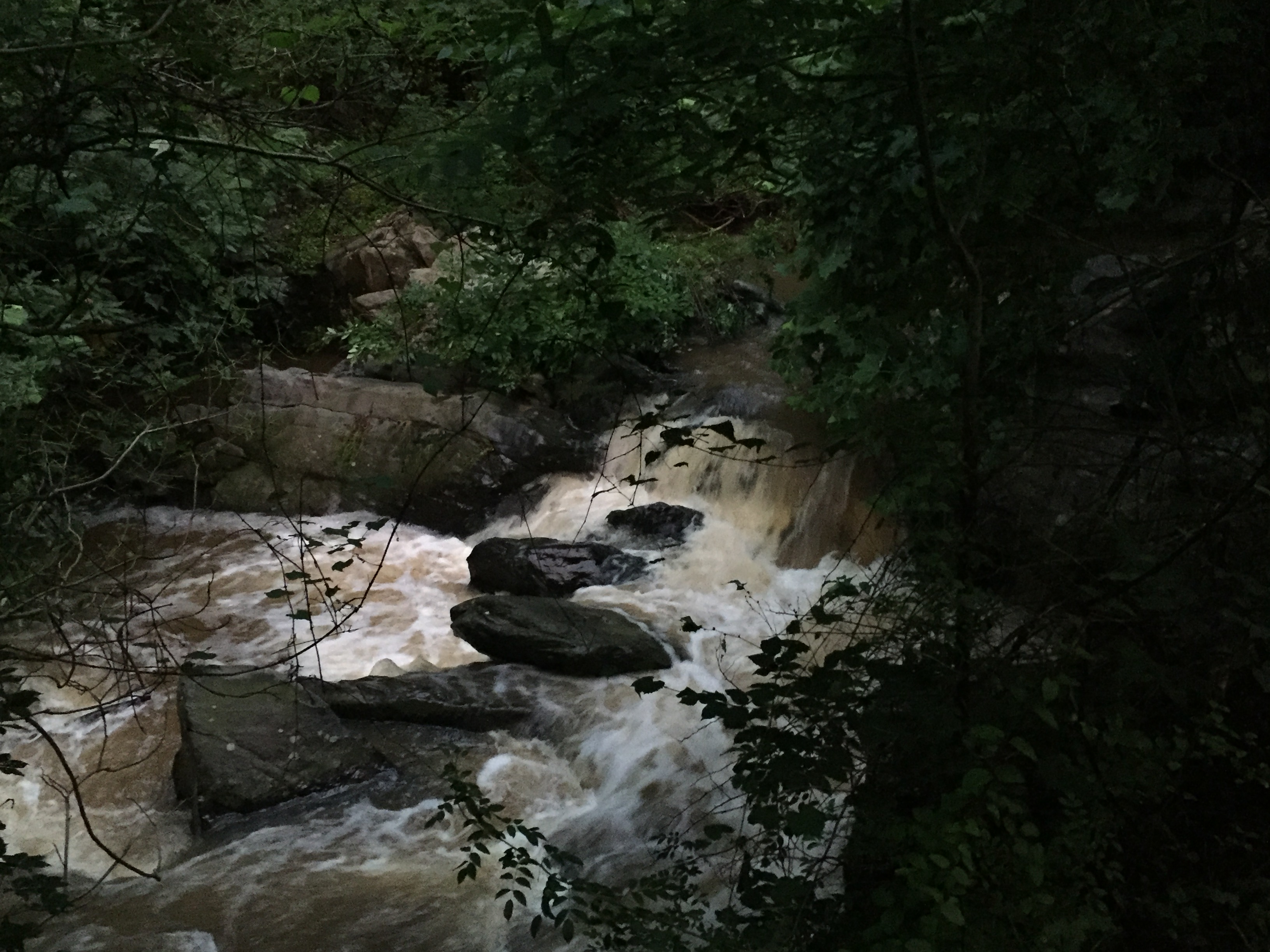Main drop on Piney run Below Arrington Rd.