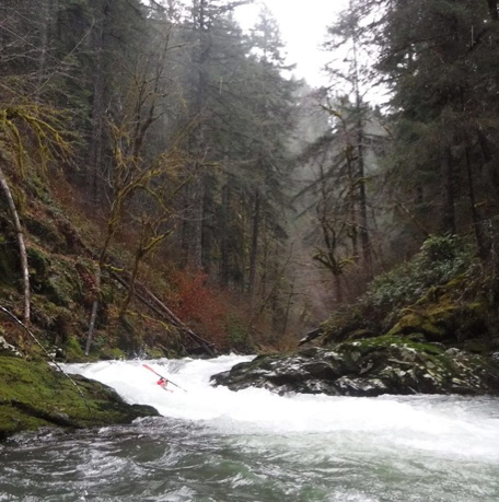 Typical NF Alsea Whitewater