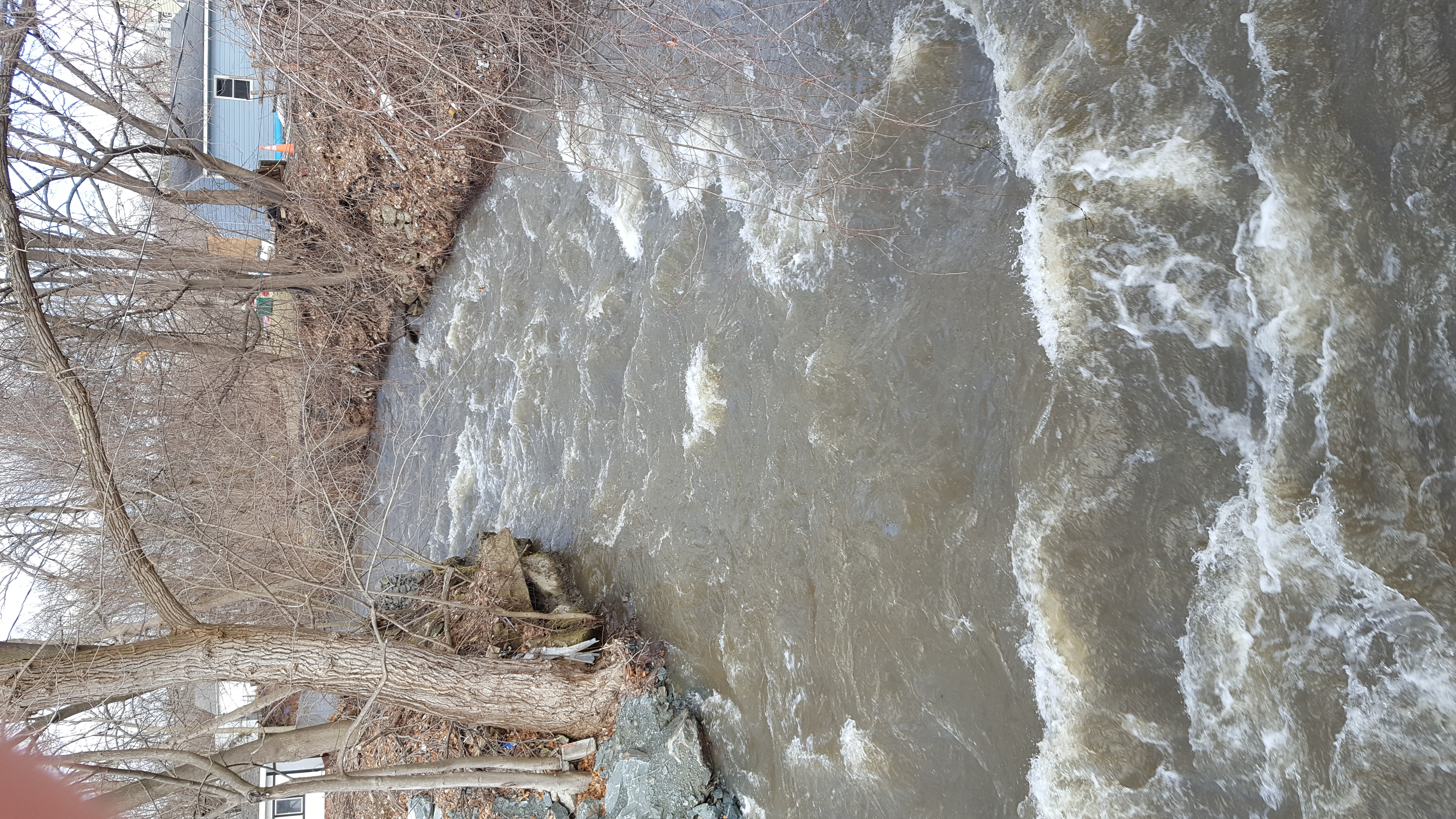 Mile 4.5: Downtown Rapids Start