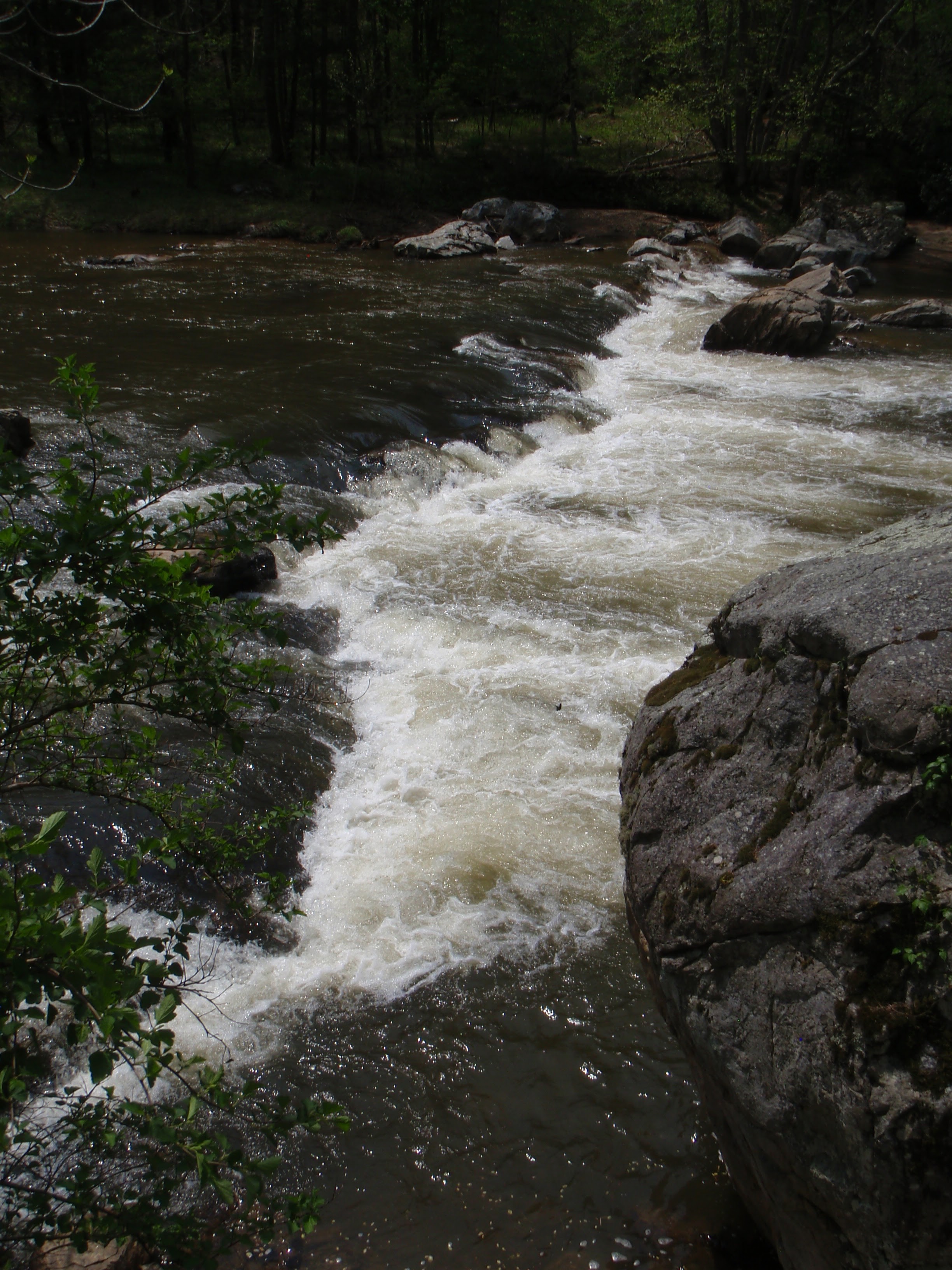 BRI below Greasy Creek