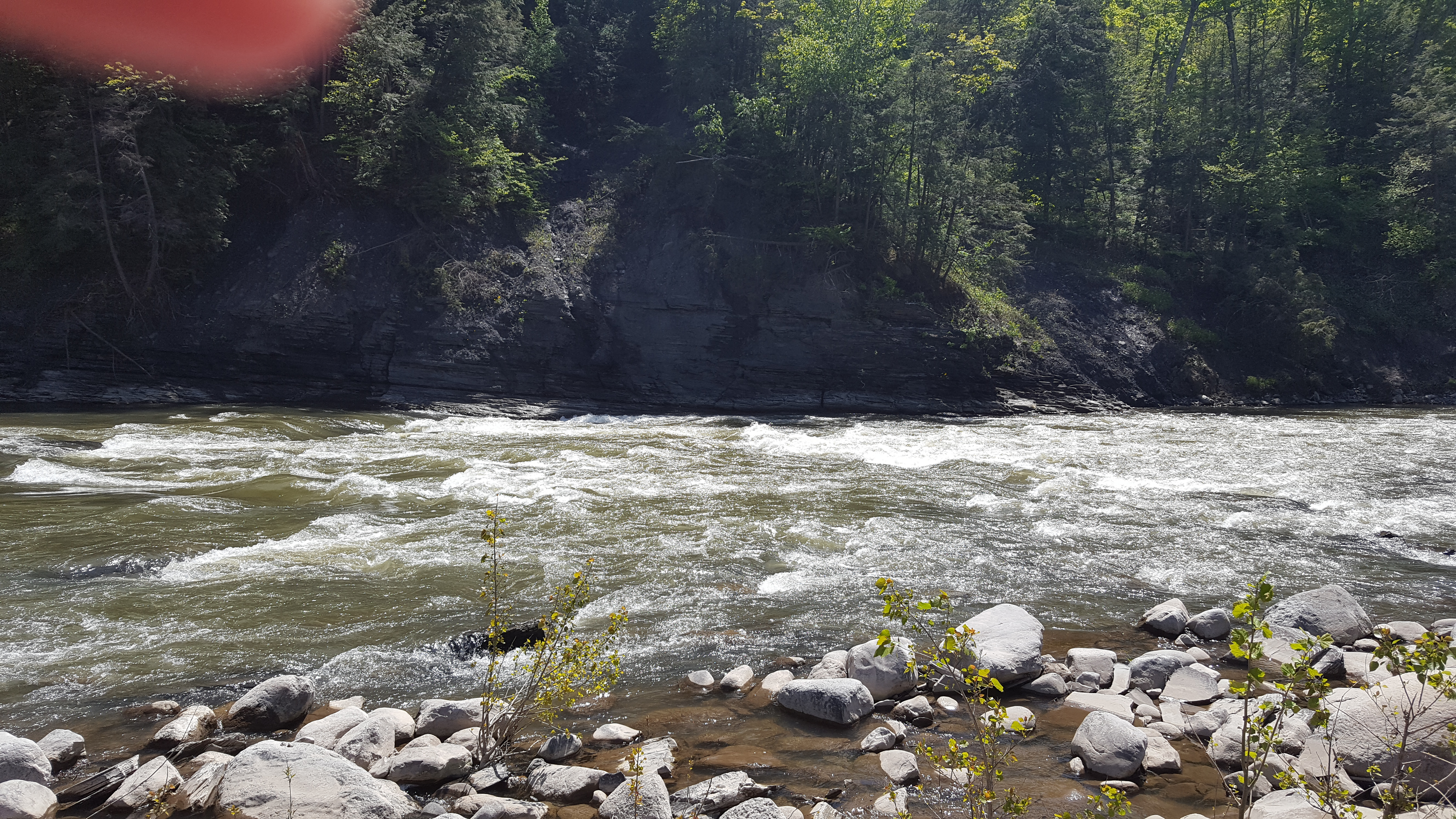 Schoharie Narrows