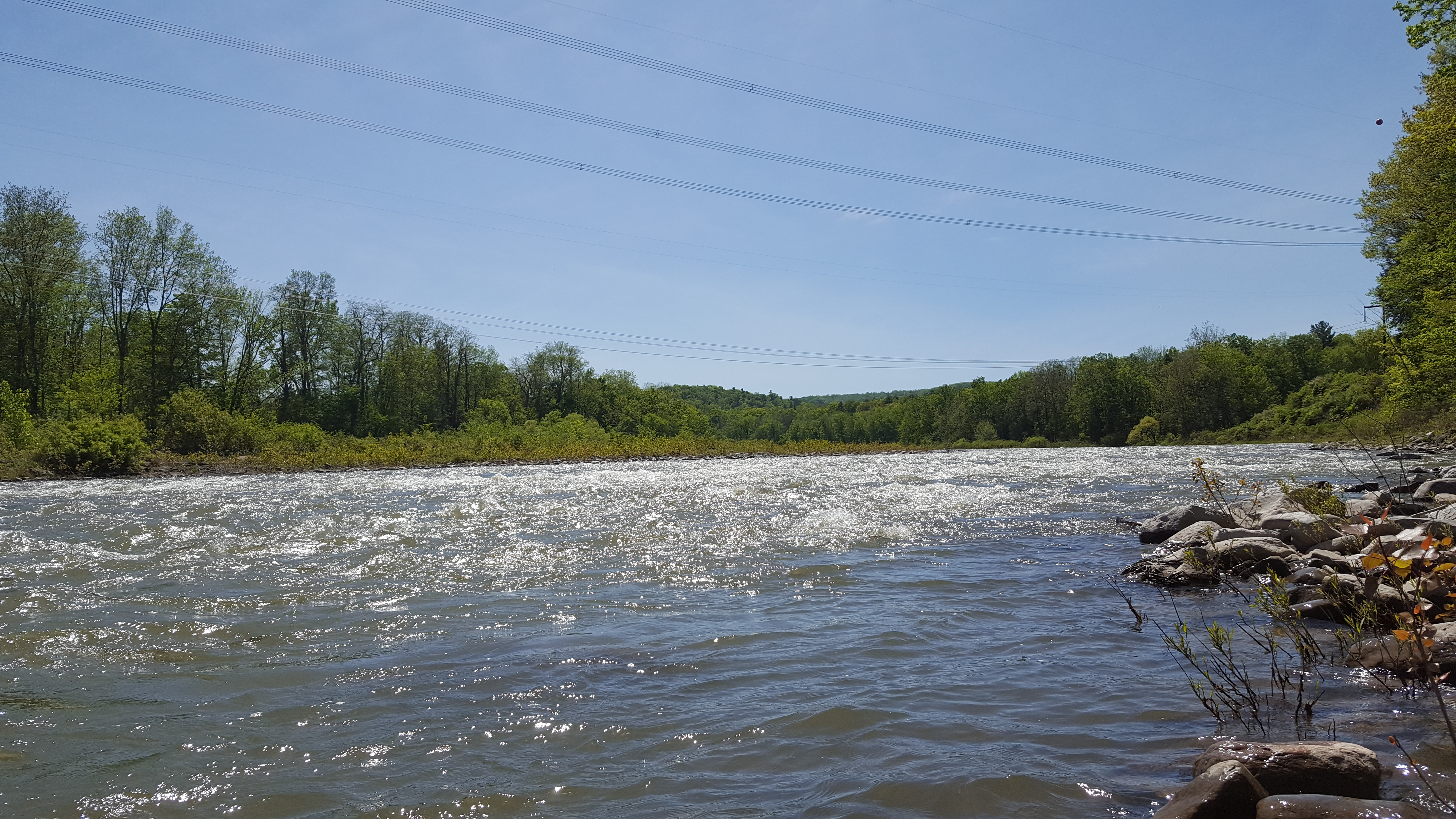 Mile 14.3 - Powerline Rapids