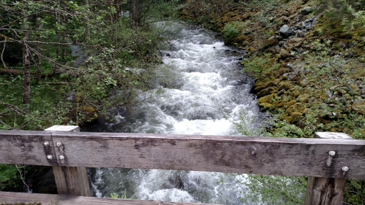 Medium Flows