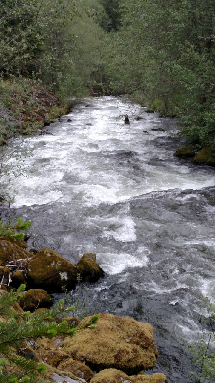Typical Zigzag River