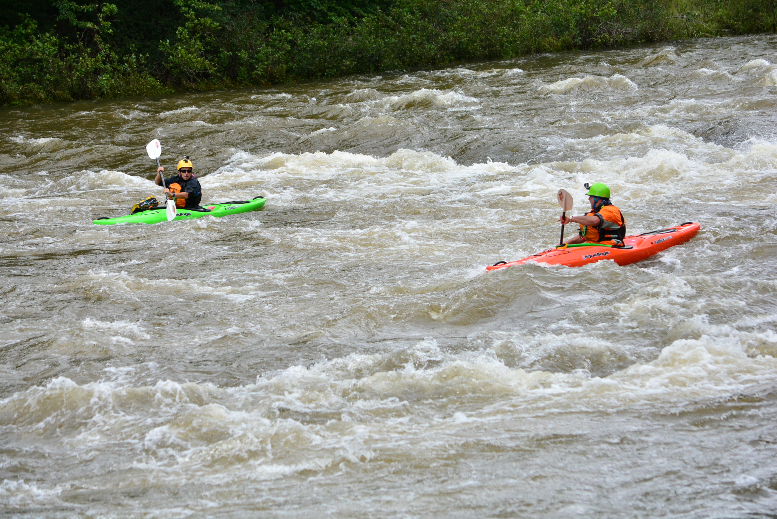 Drakes Rapid