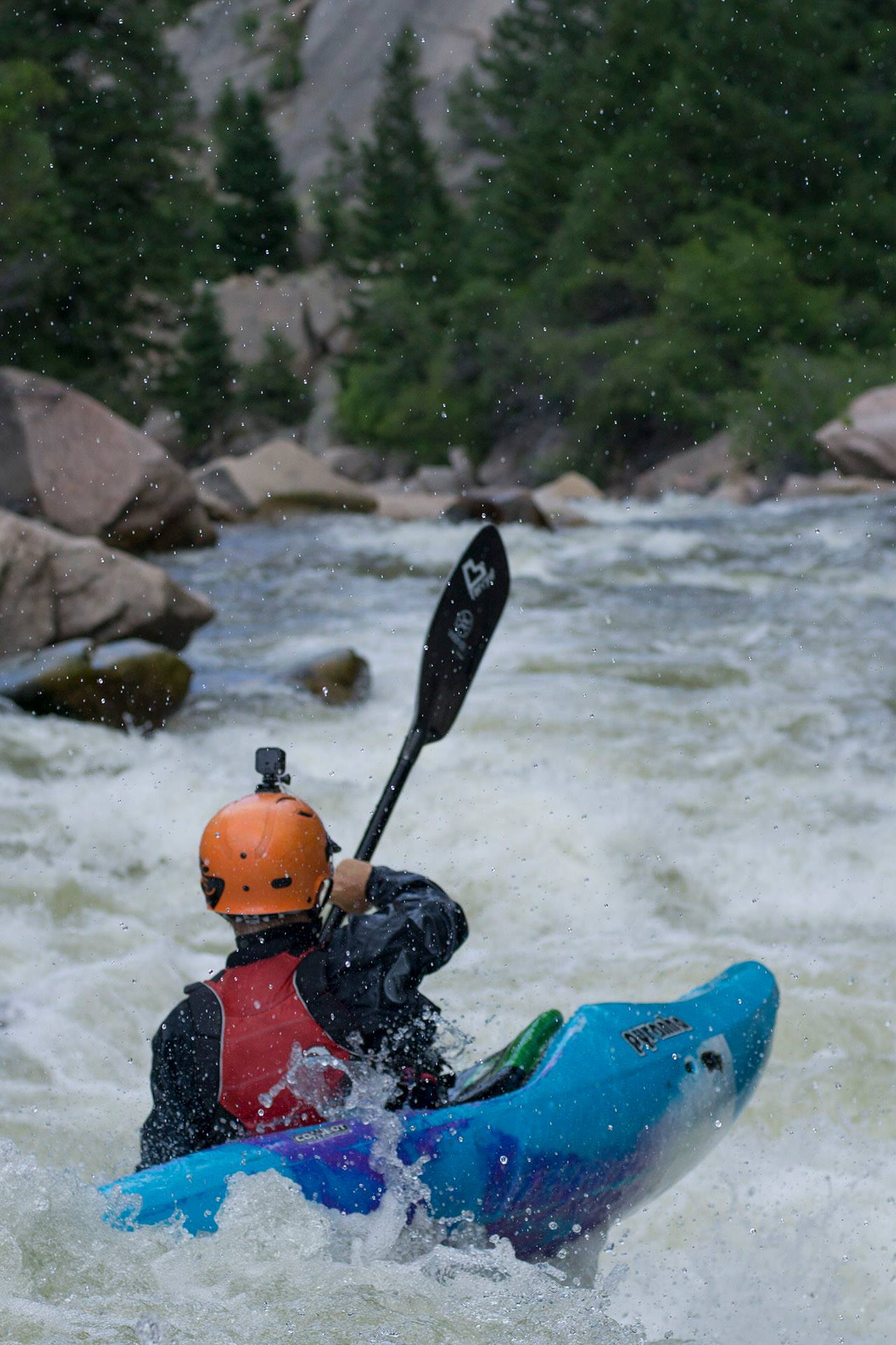 Significant Rapid