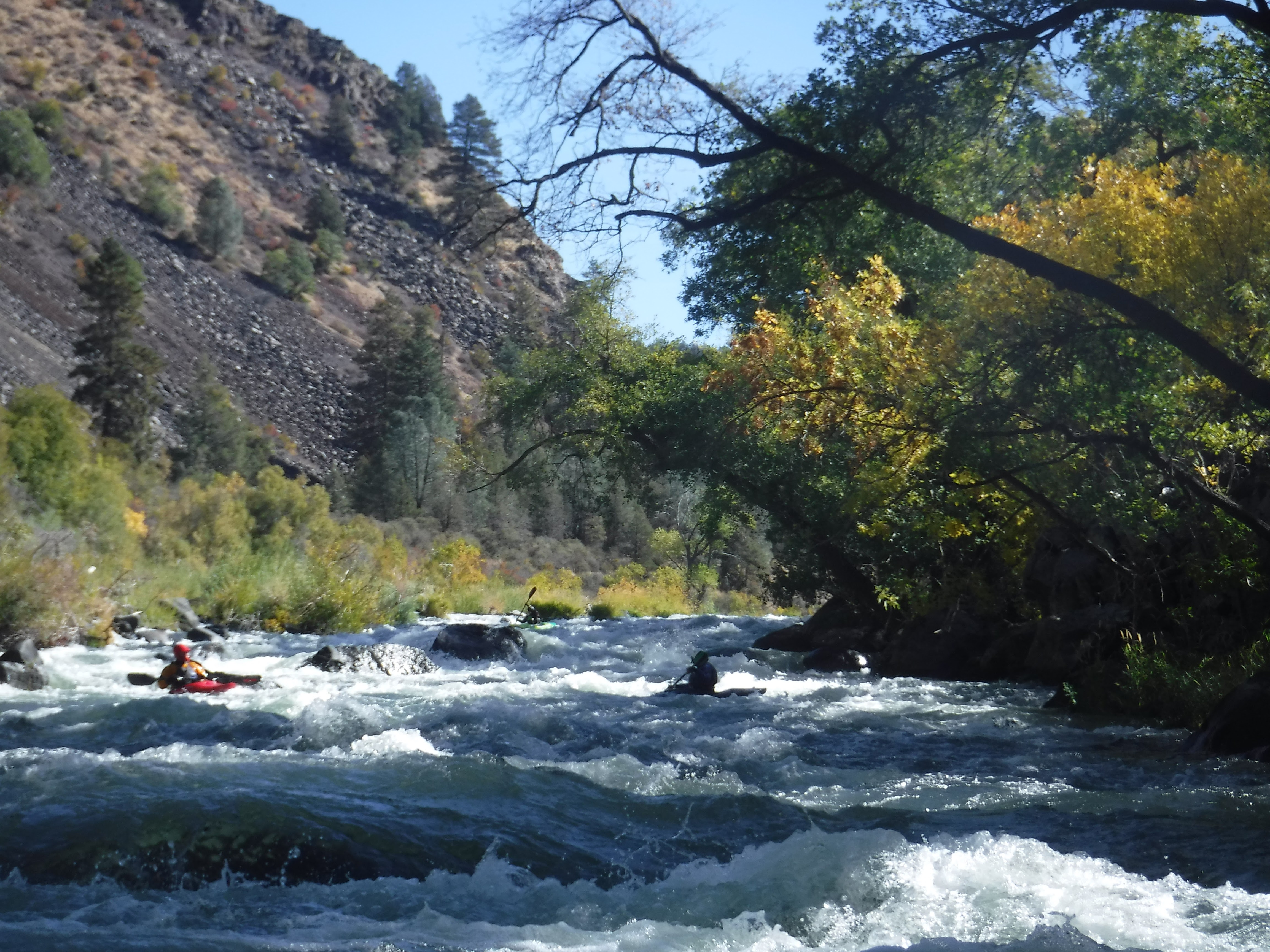 Wave Rapid