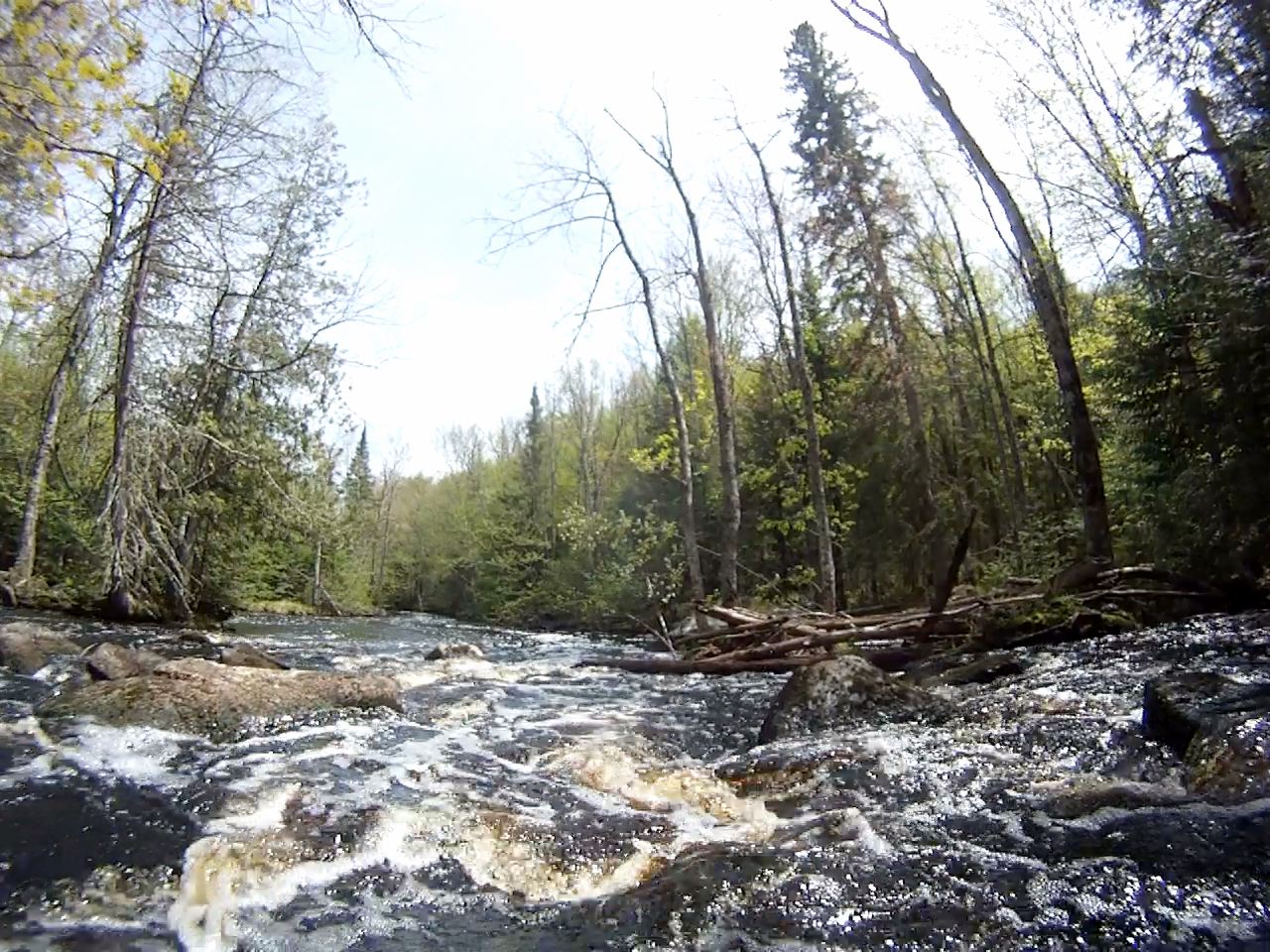 McDougal Rapids