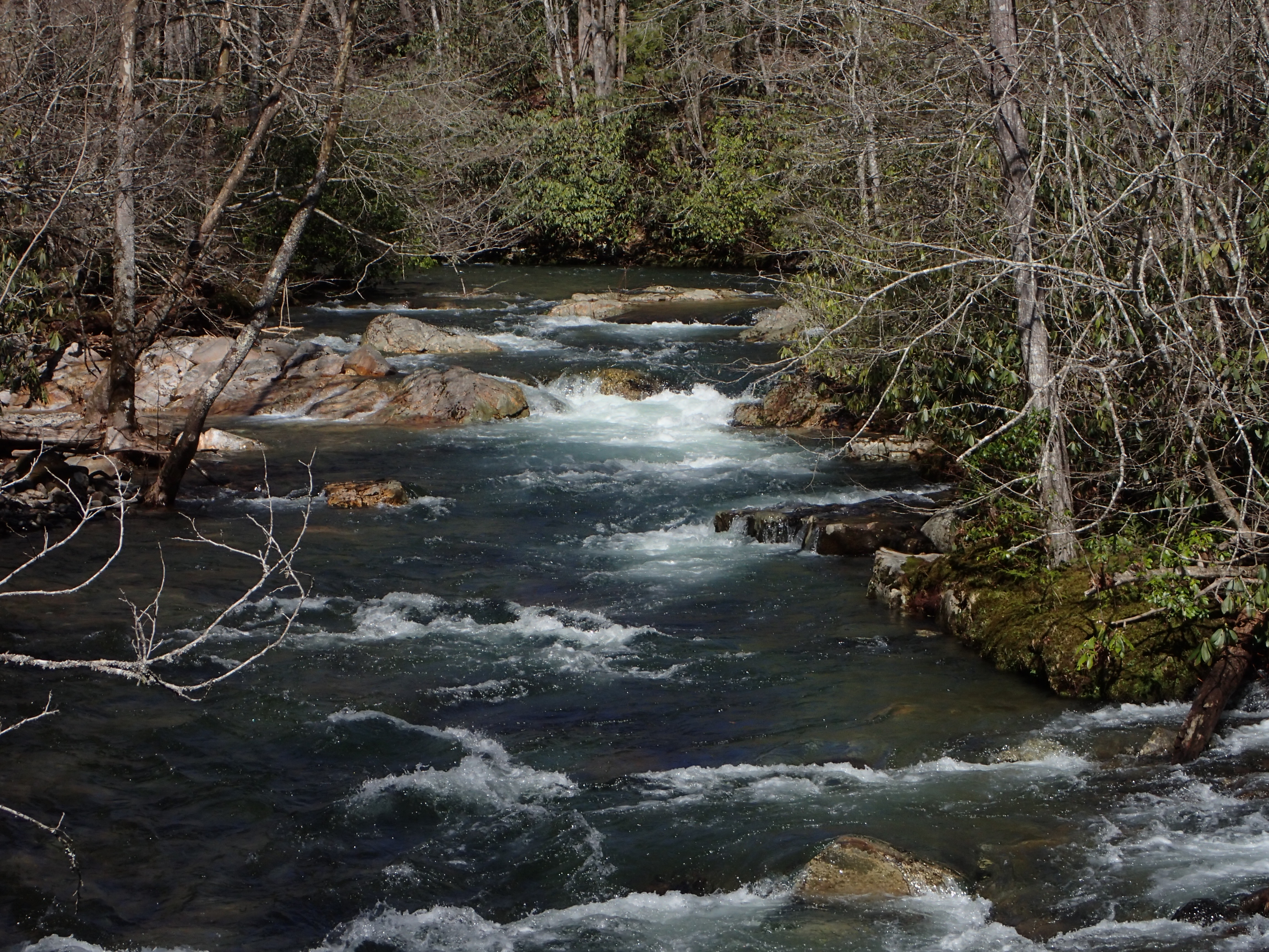 Smokemont Rapid
