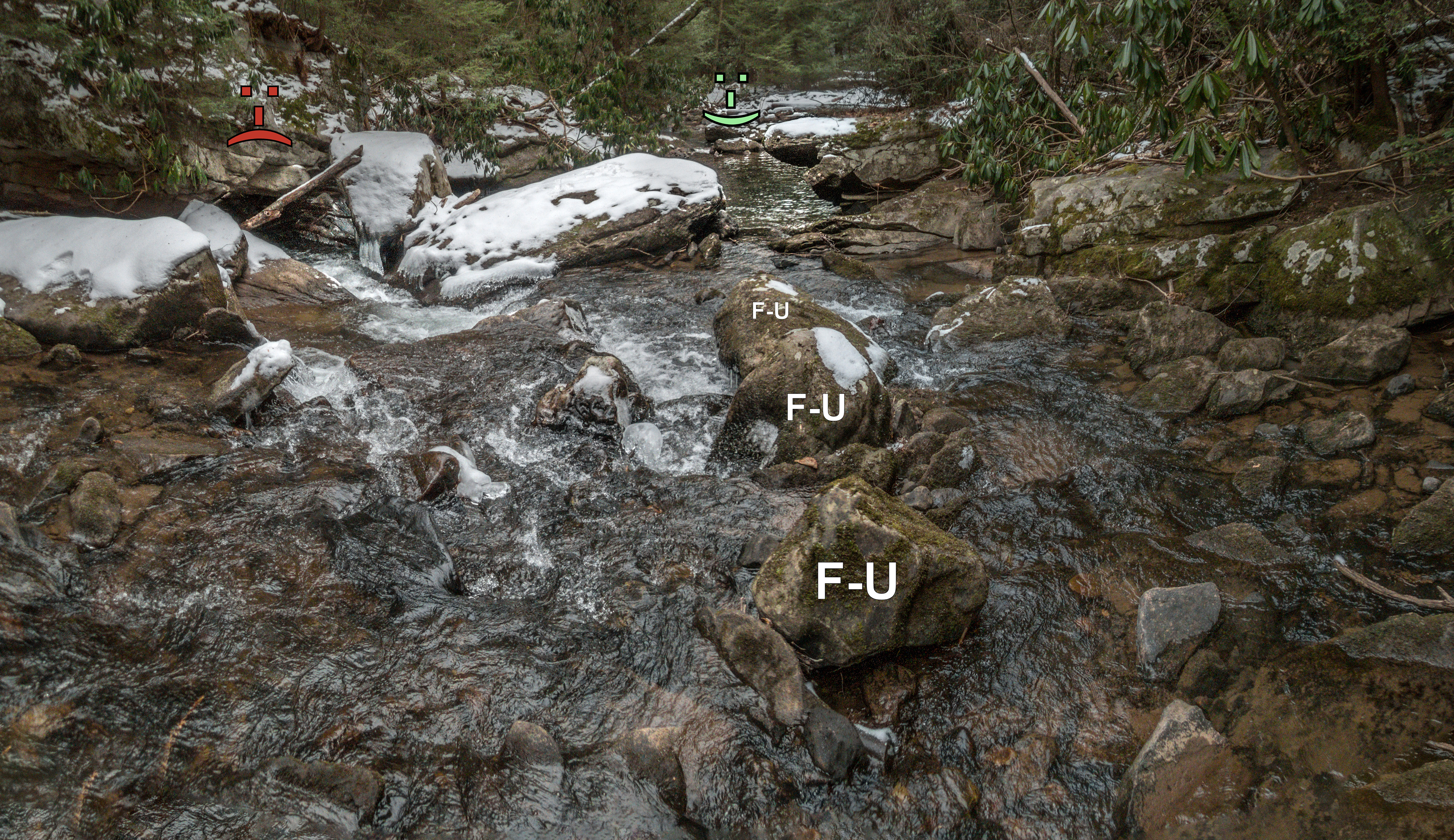 Approach to the Sieve Rapid