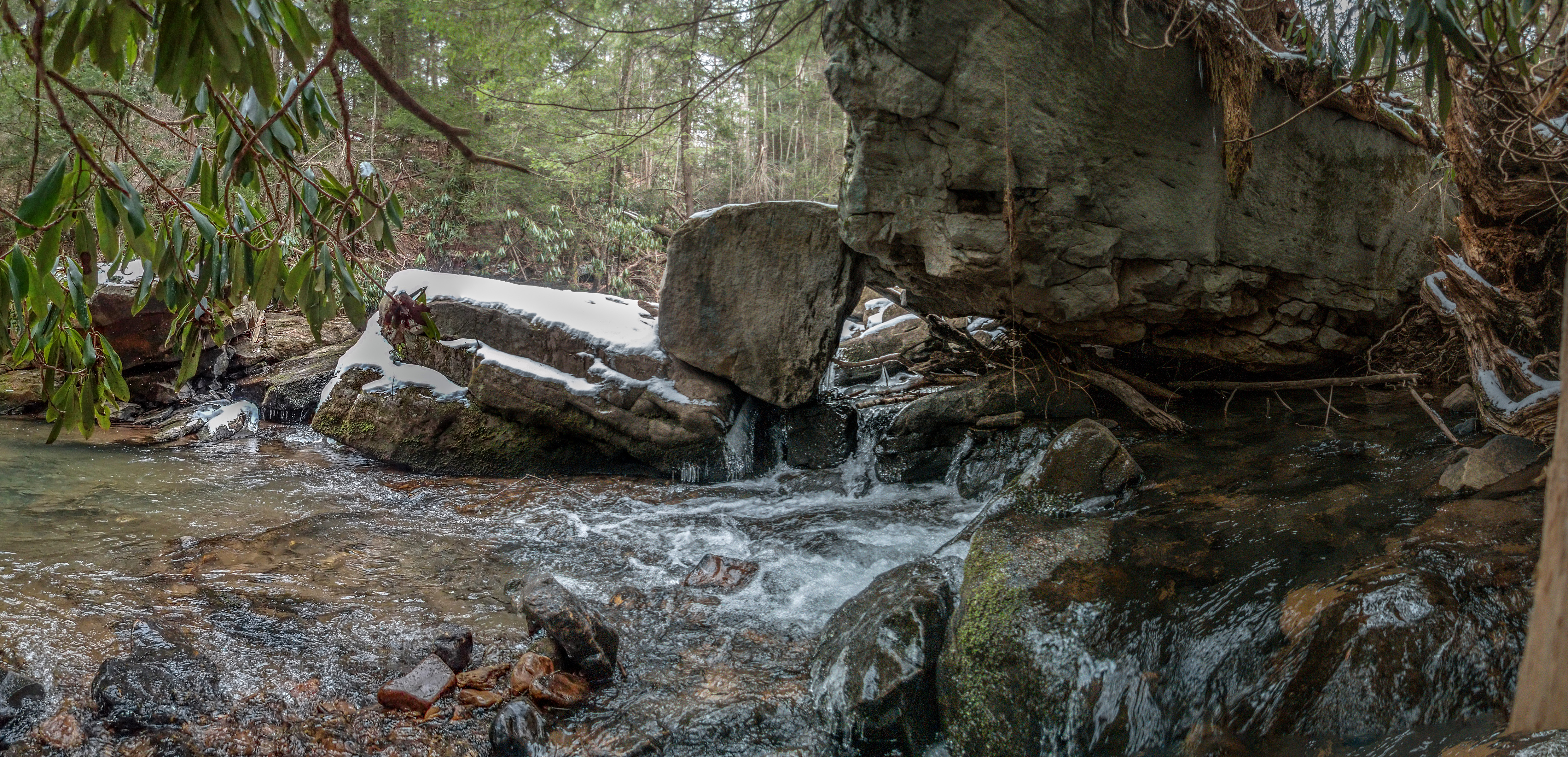 Daug Haus, Sieve Rapid