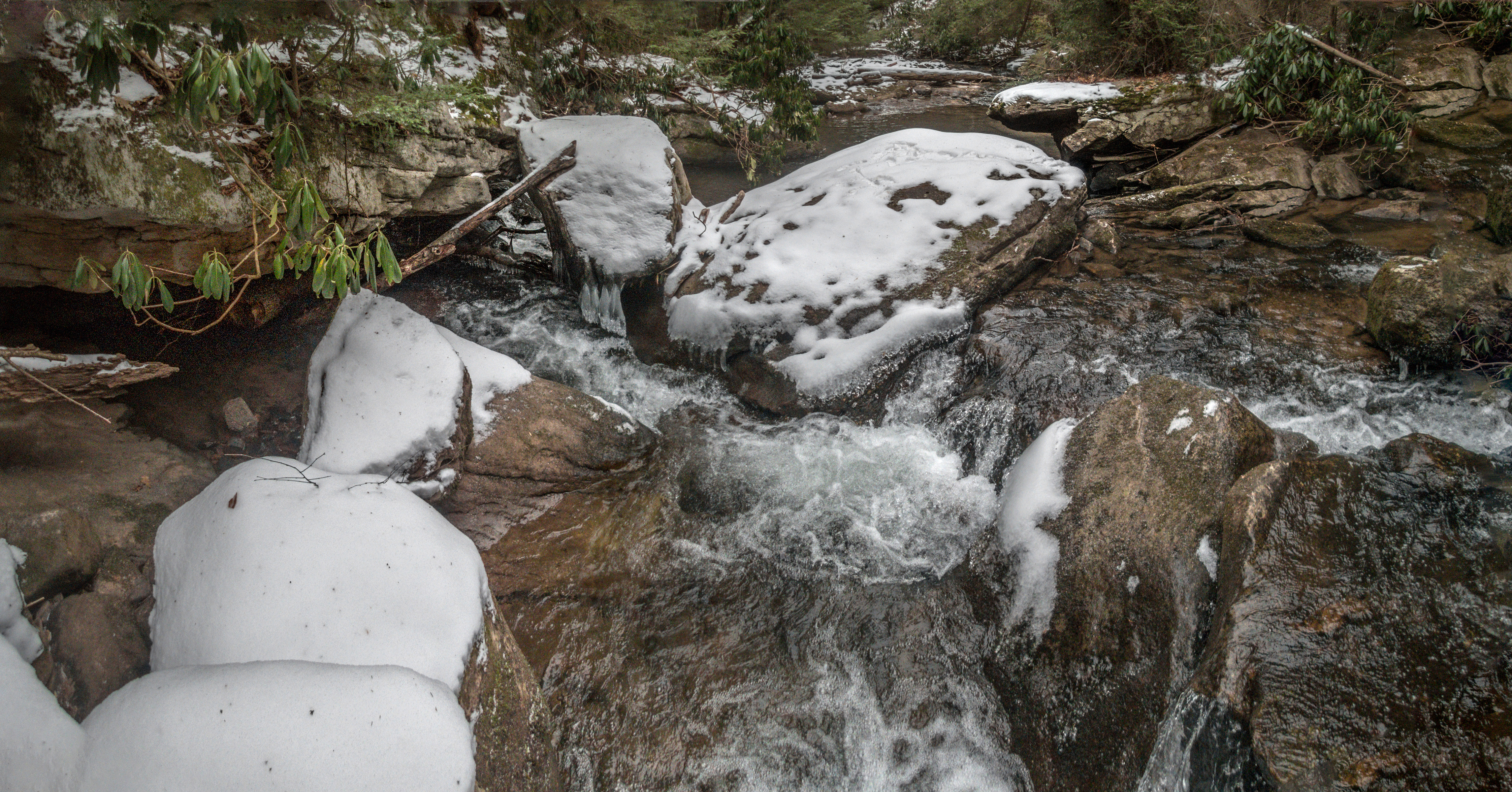 Daug Haus, Sieve Rapid