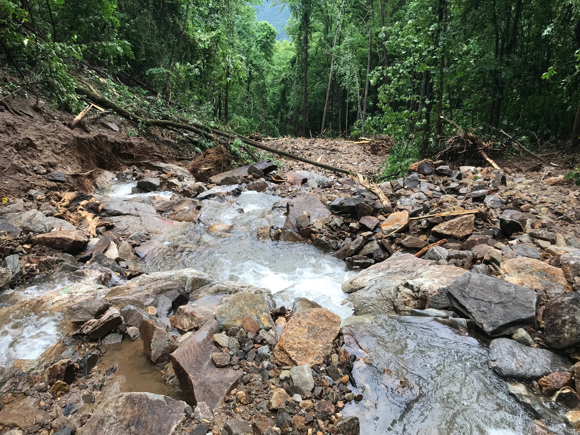 Switchback Landslide 2