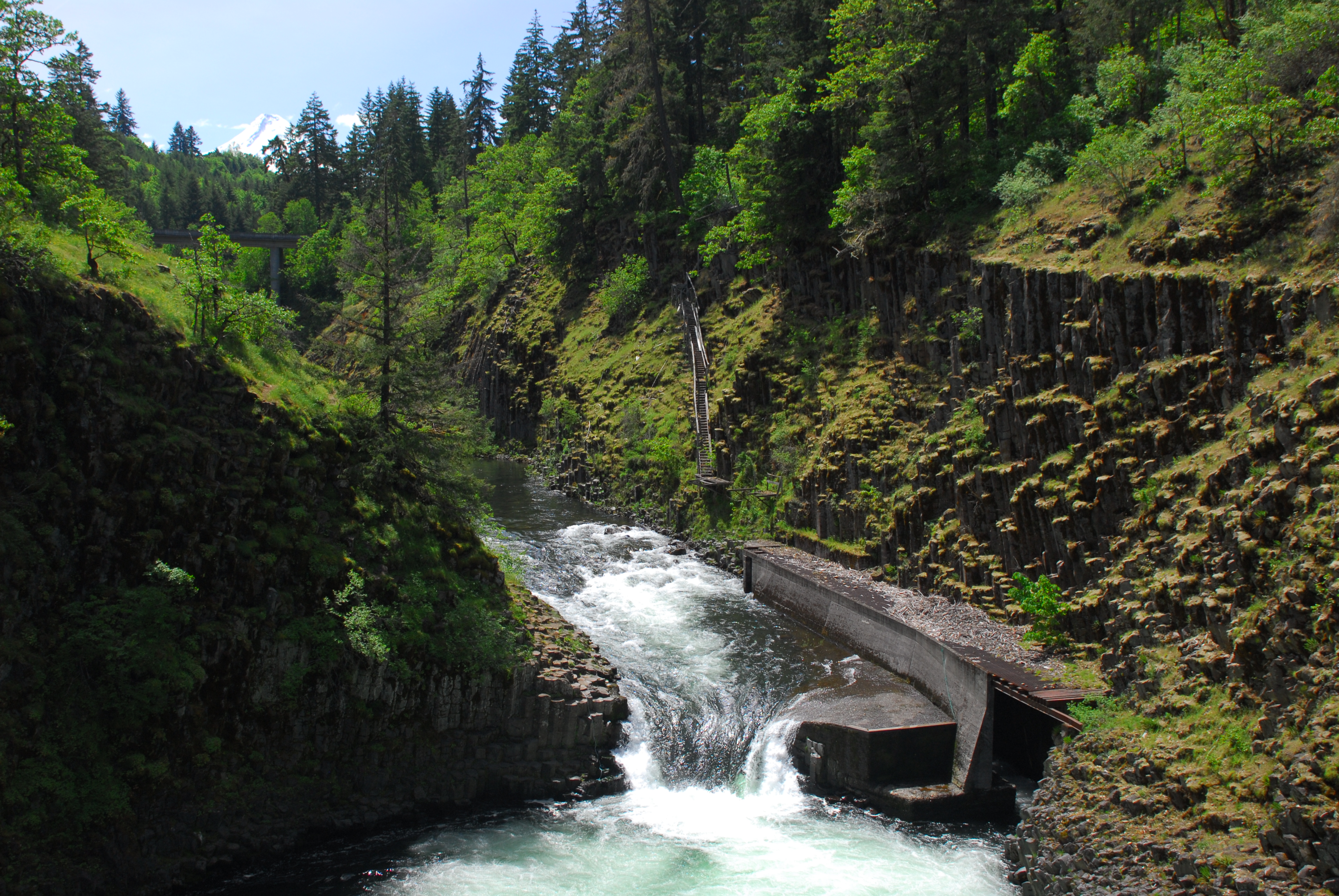 Punchbowl Falls
