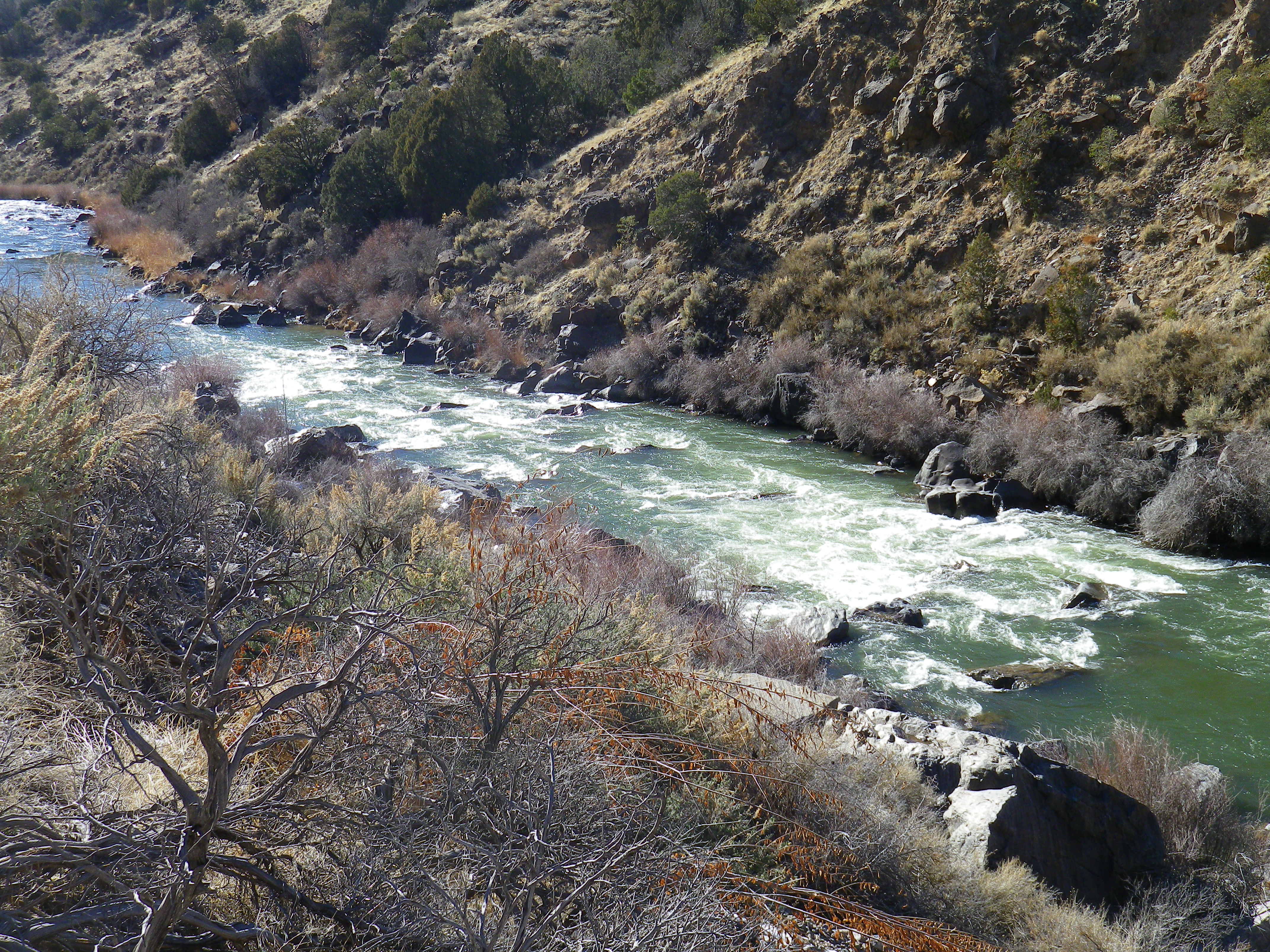 Albert Falls