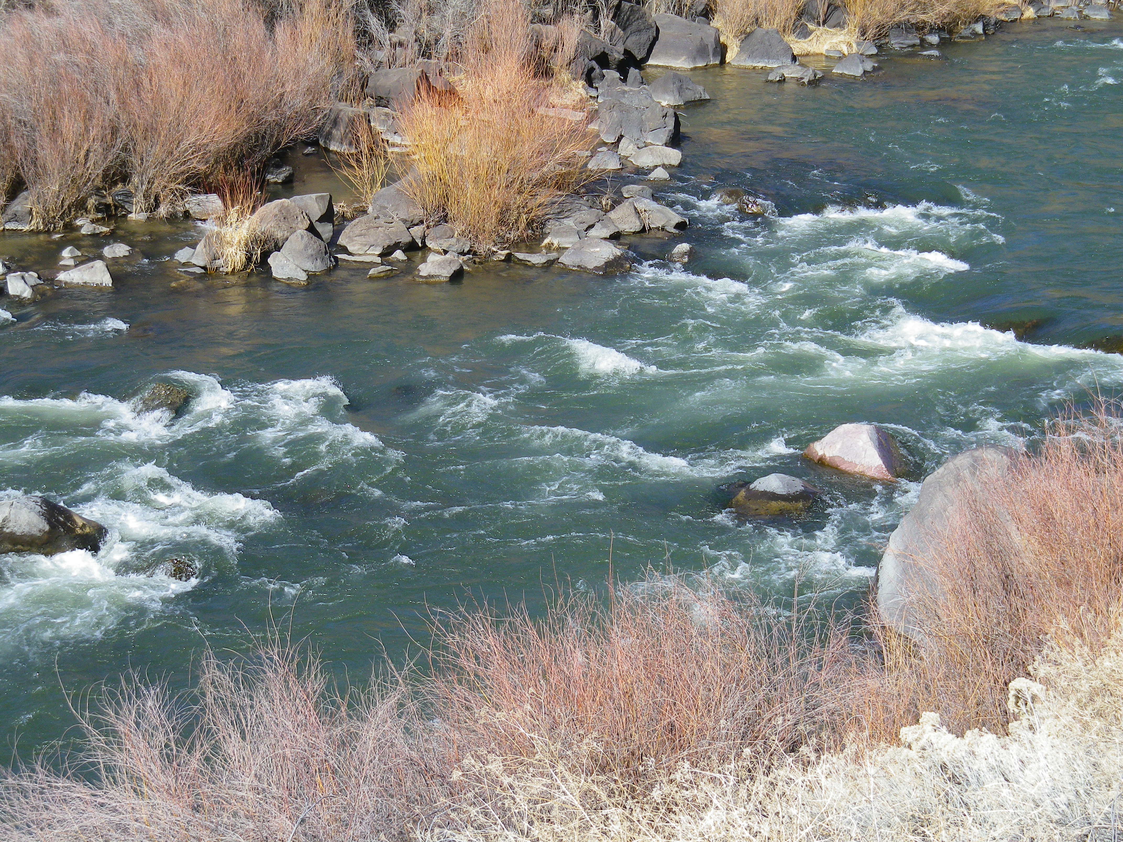 Dead Foot Falls