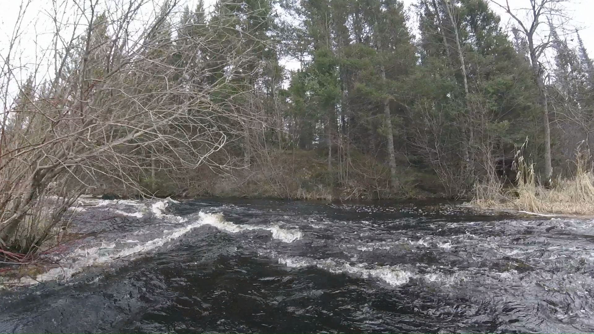 Old Dam Rapids