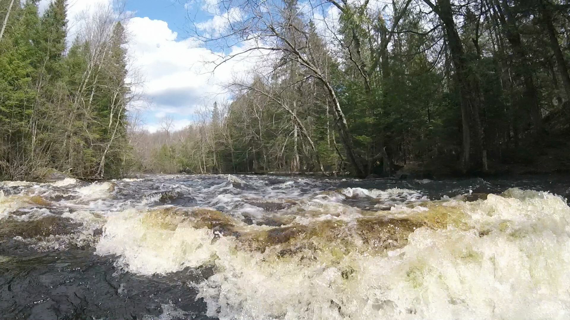 Middle Snaketail Rapids