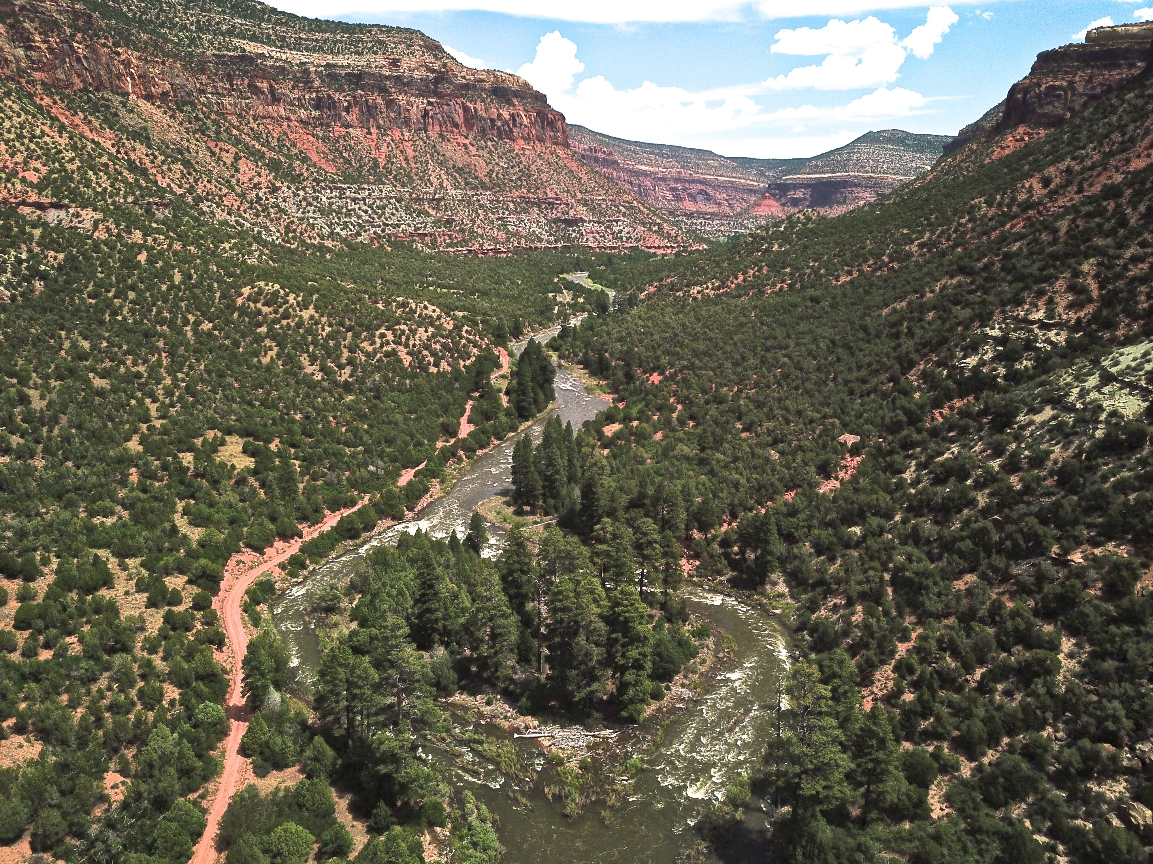 Island Rapid