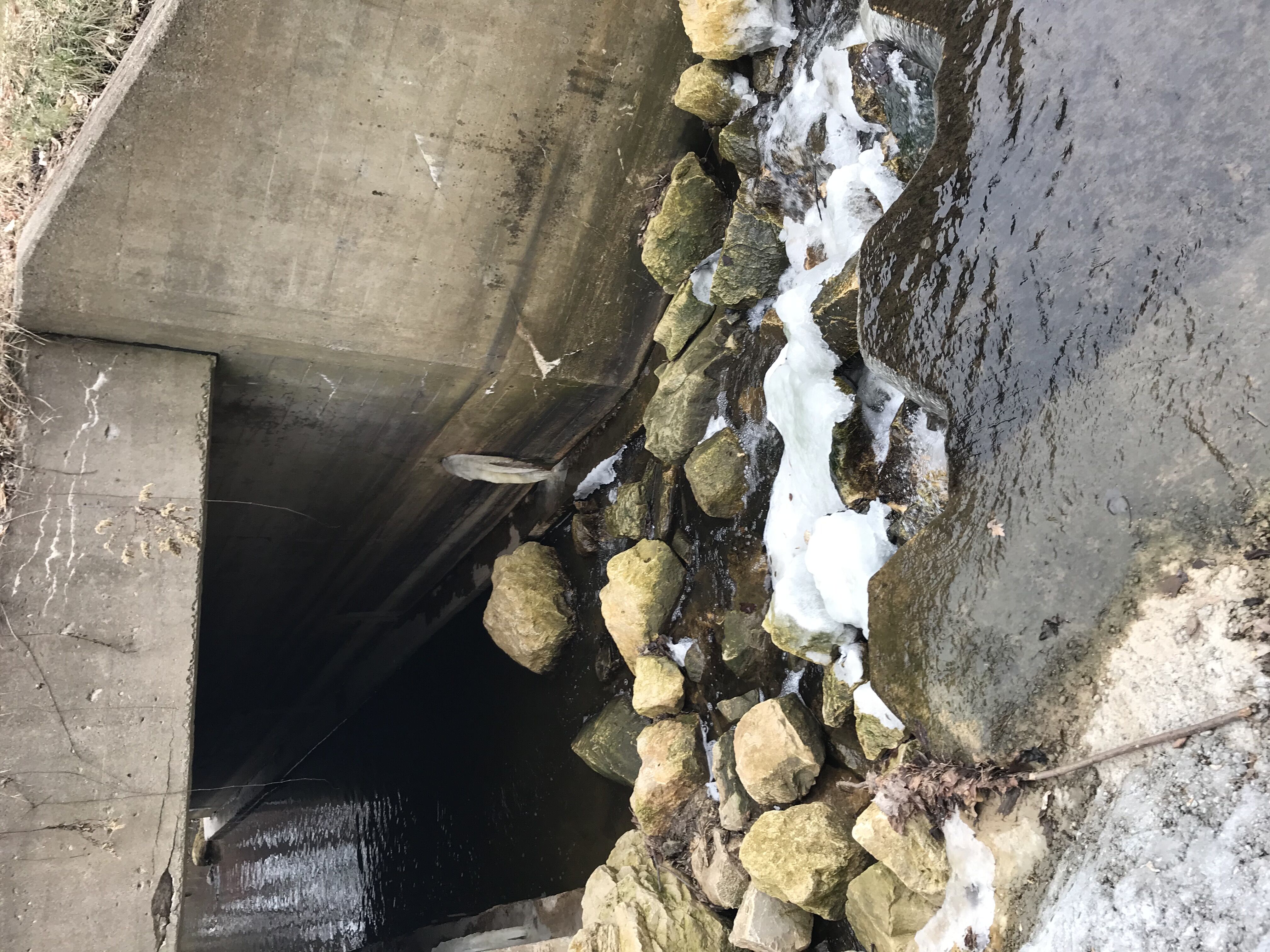 Put In: S.Ravine Street