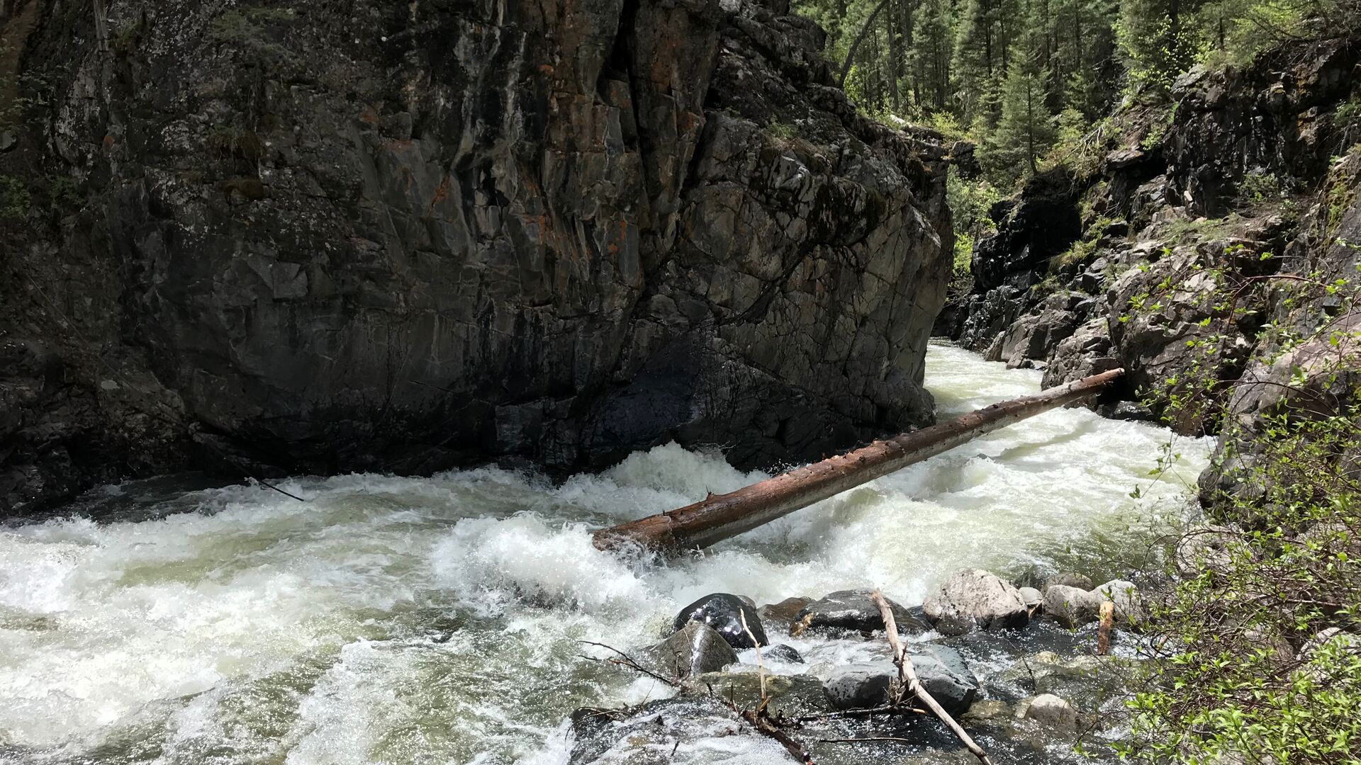 Wood Below Ledge Drop