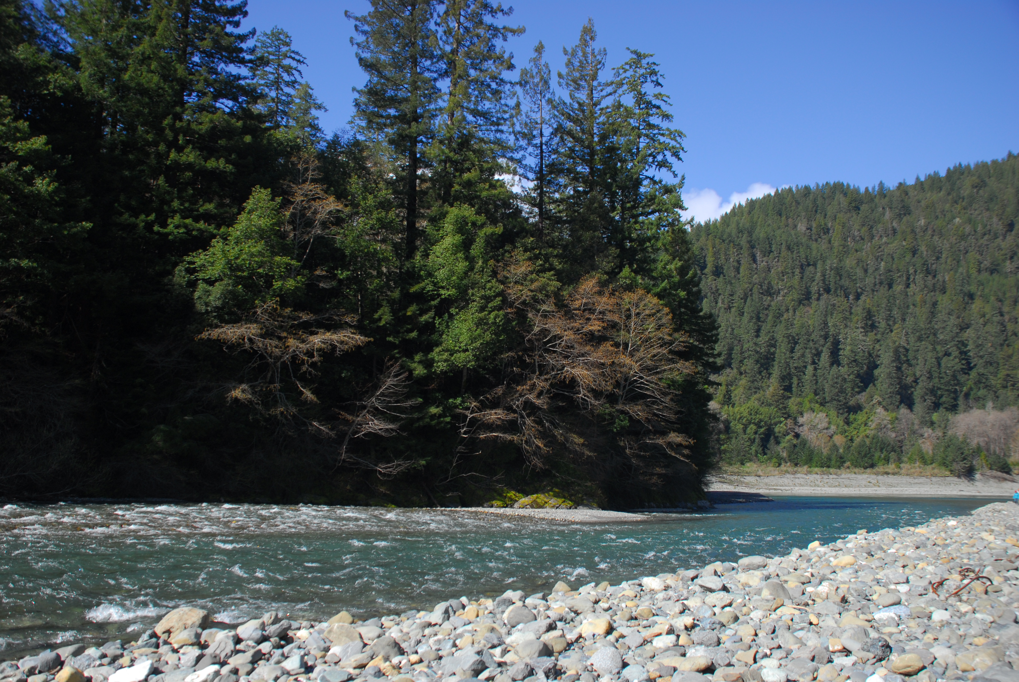 Looking Downstream on Blue Creek