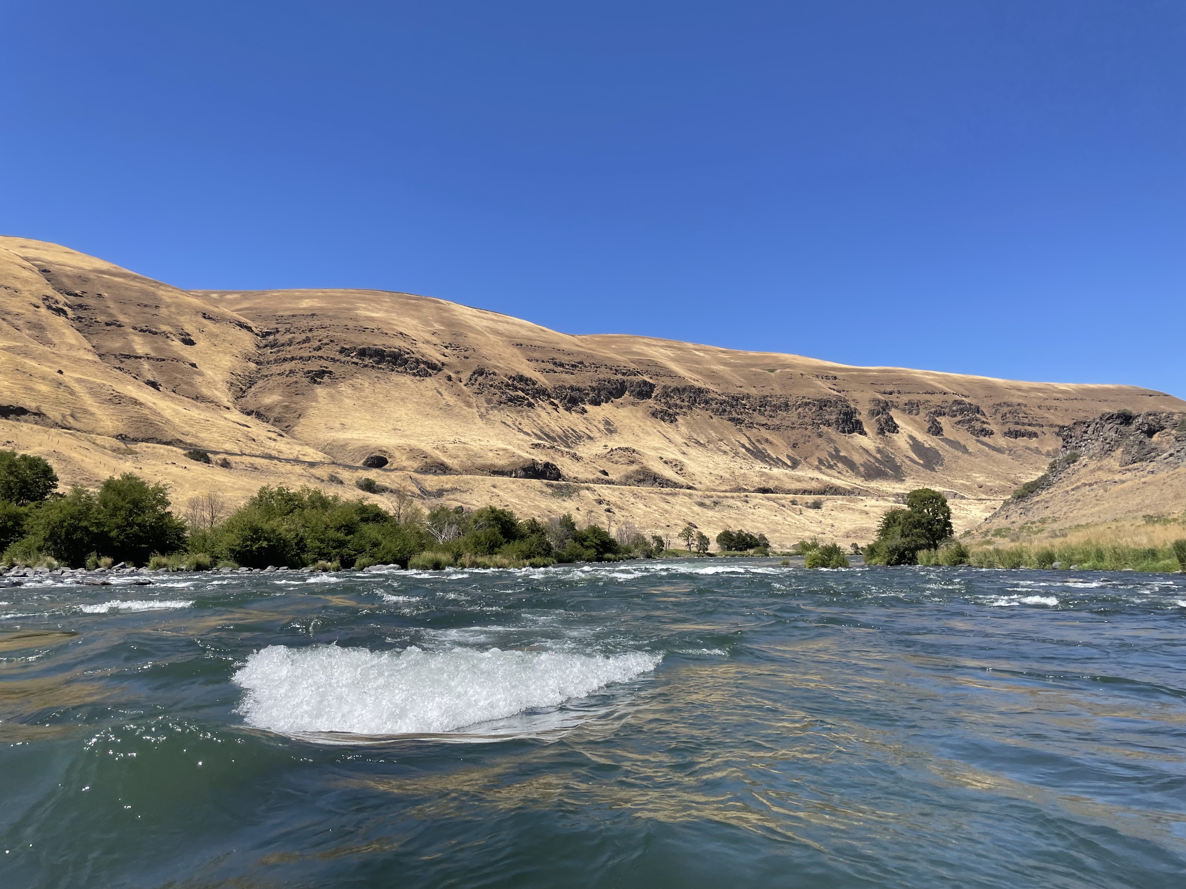 Rattlesnake Rapids