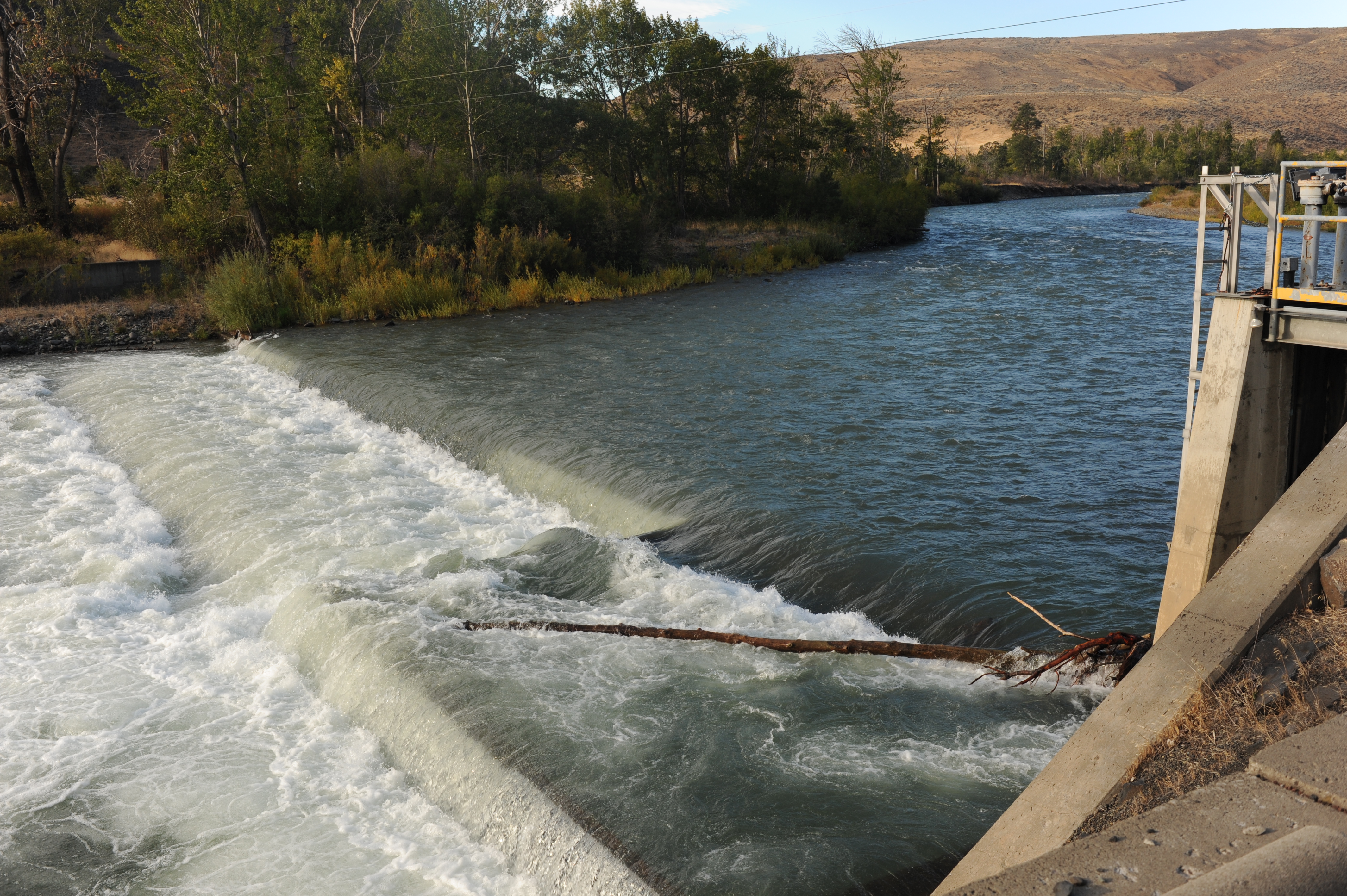 Lowhead Dam
