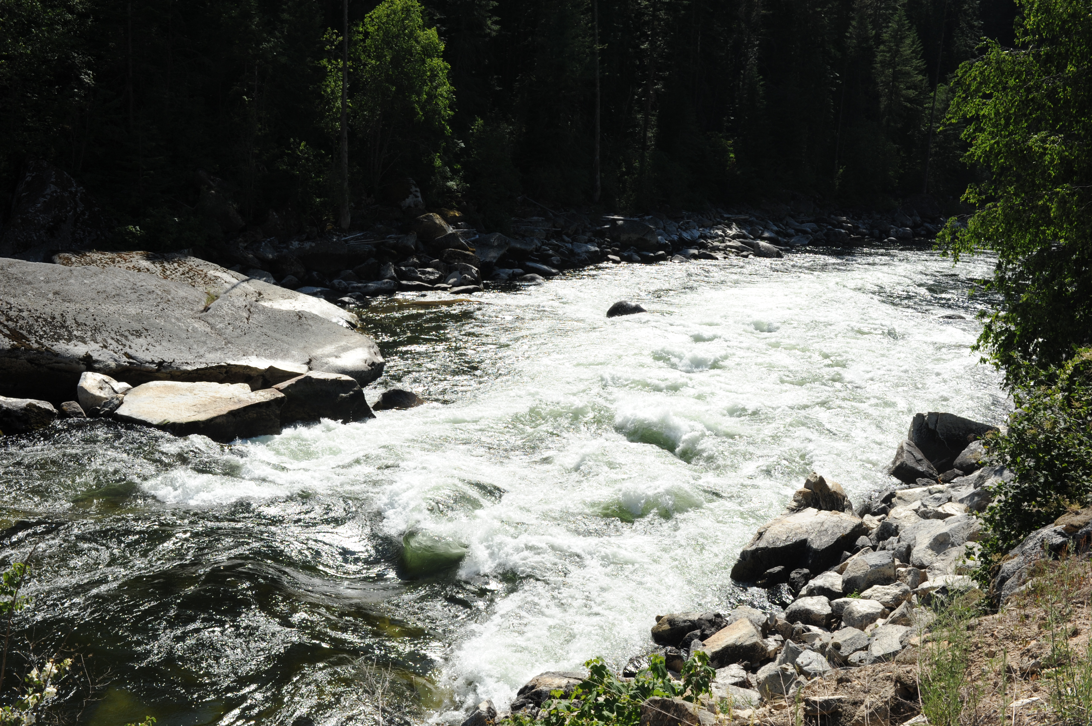 Whitefish Rapid