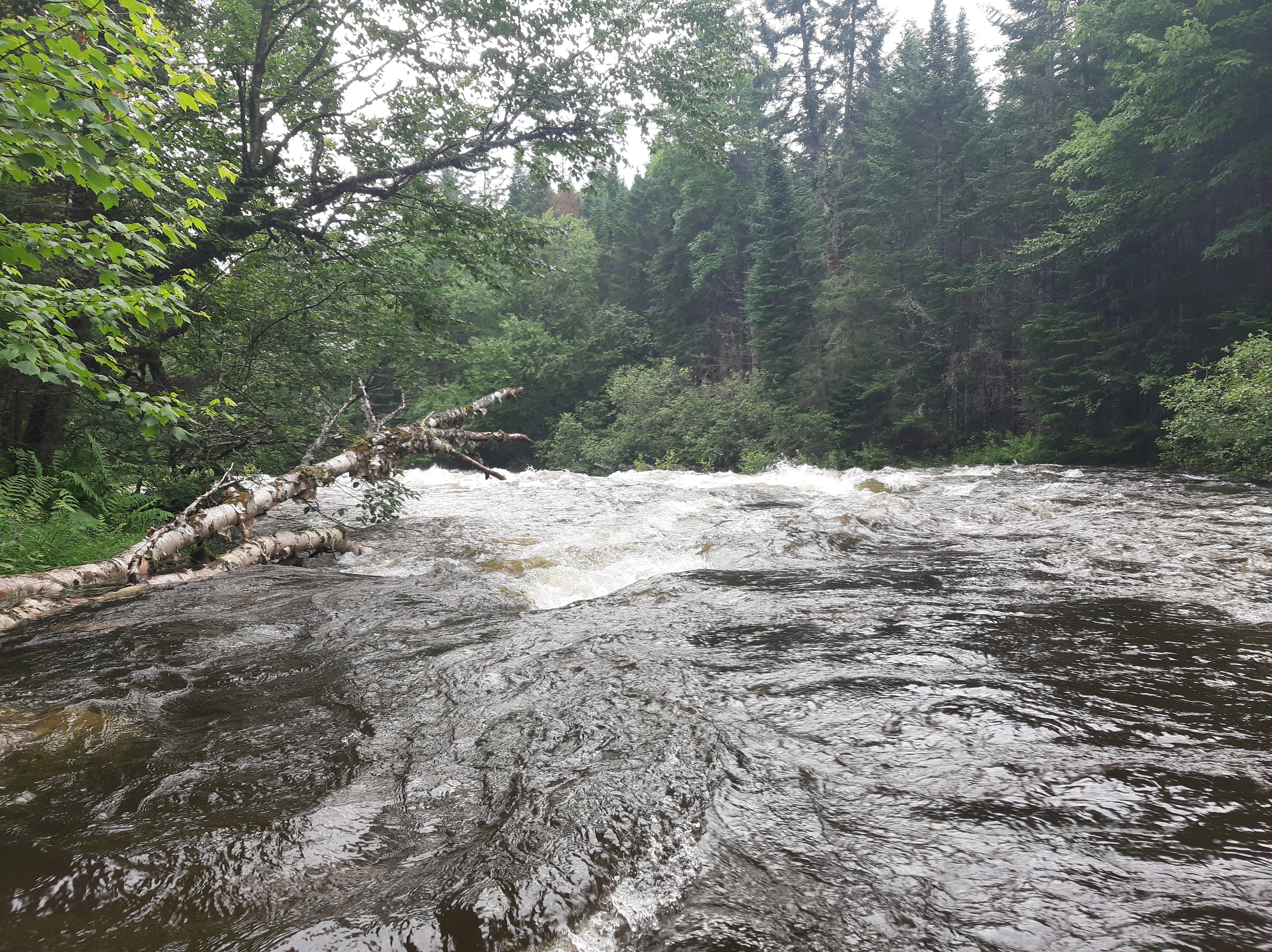 In Between Water Rapid