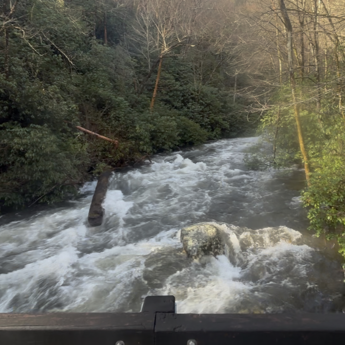 Rapid Upstream of First Bridge Crossing
