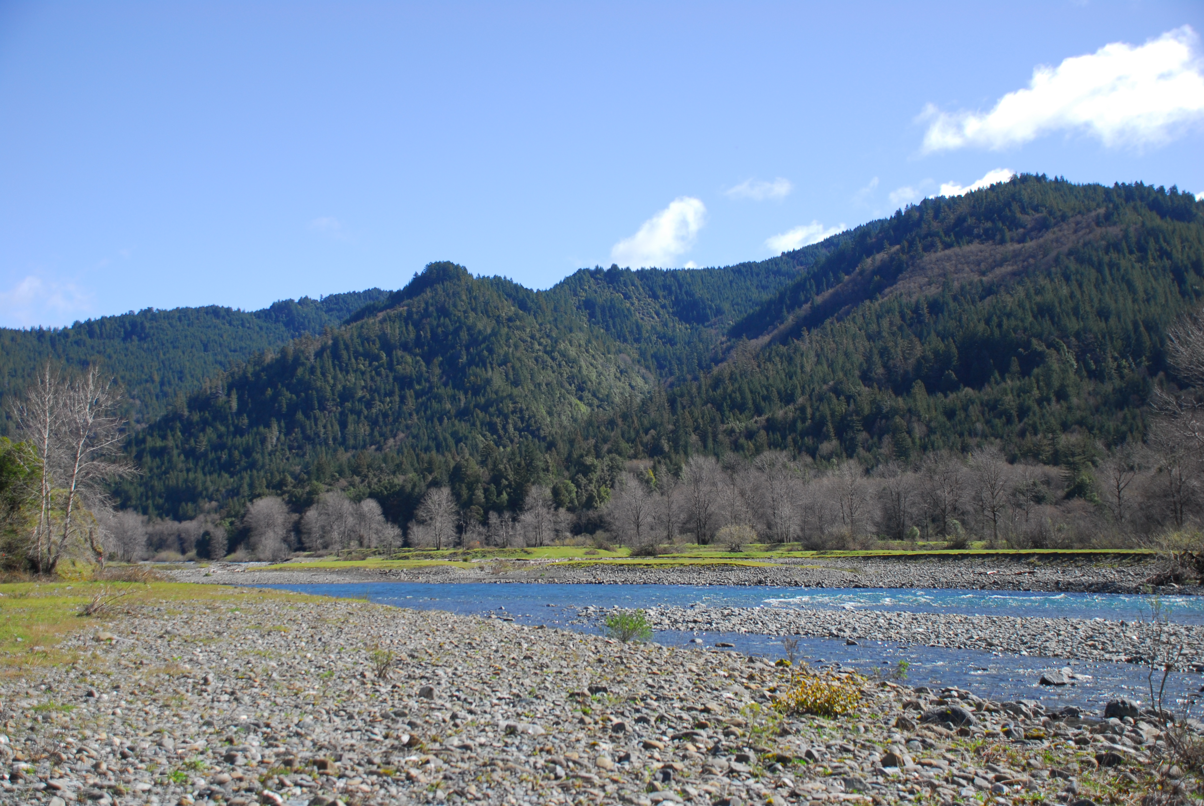 Blue Creek