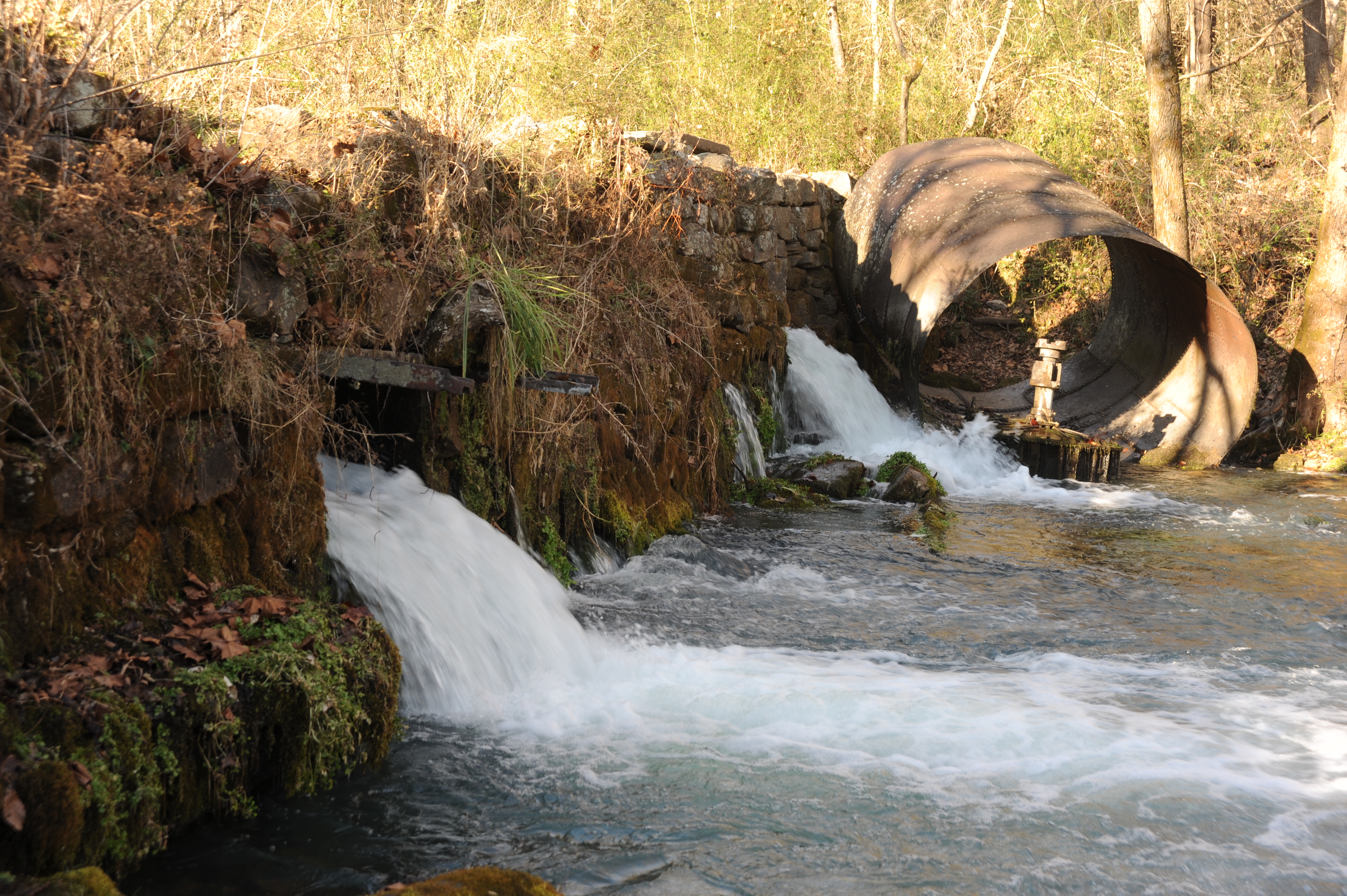 Boze Mill Float Camp