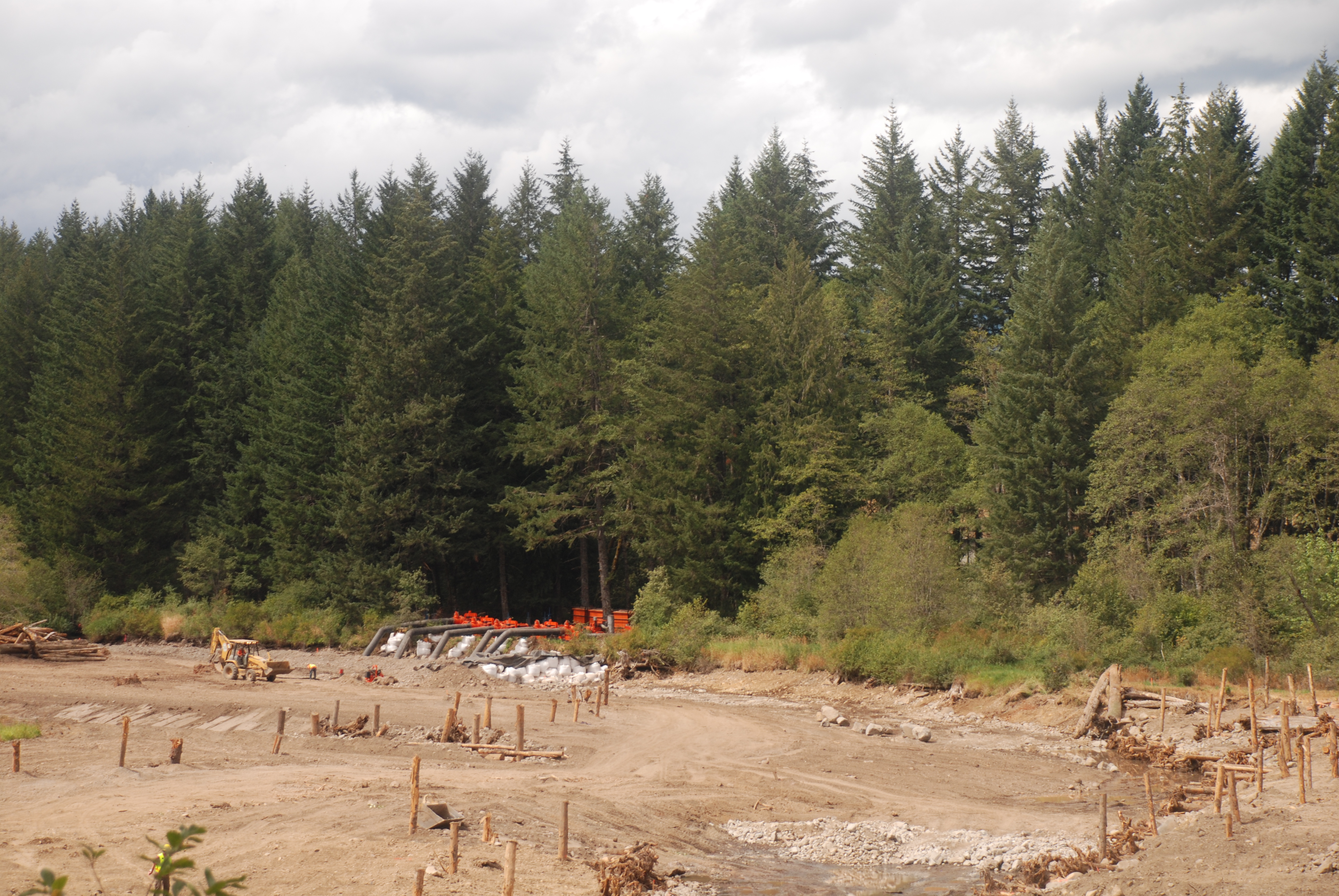Restoring the Channel in the Former Reservoir