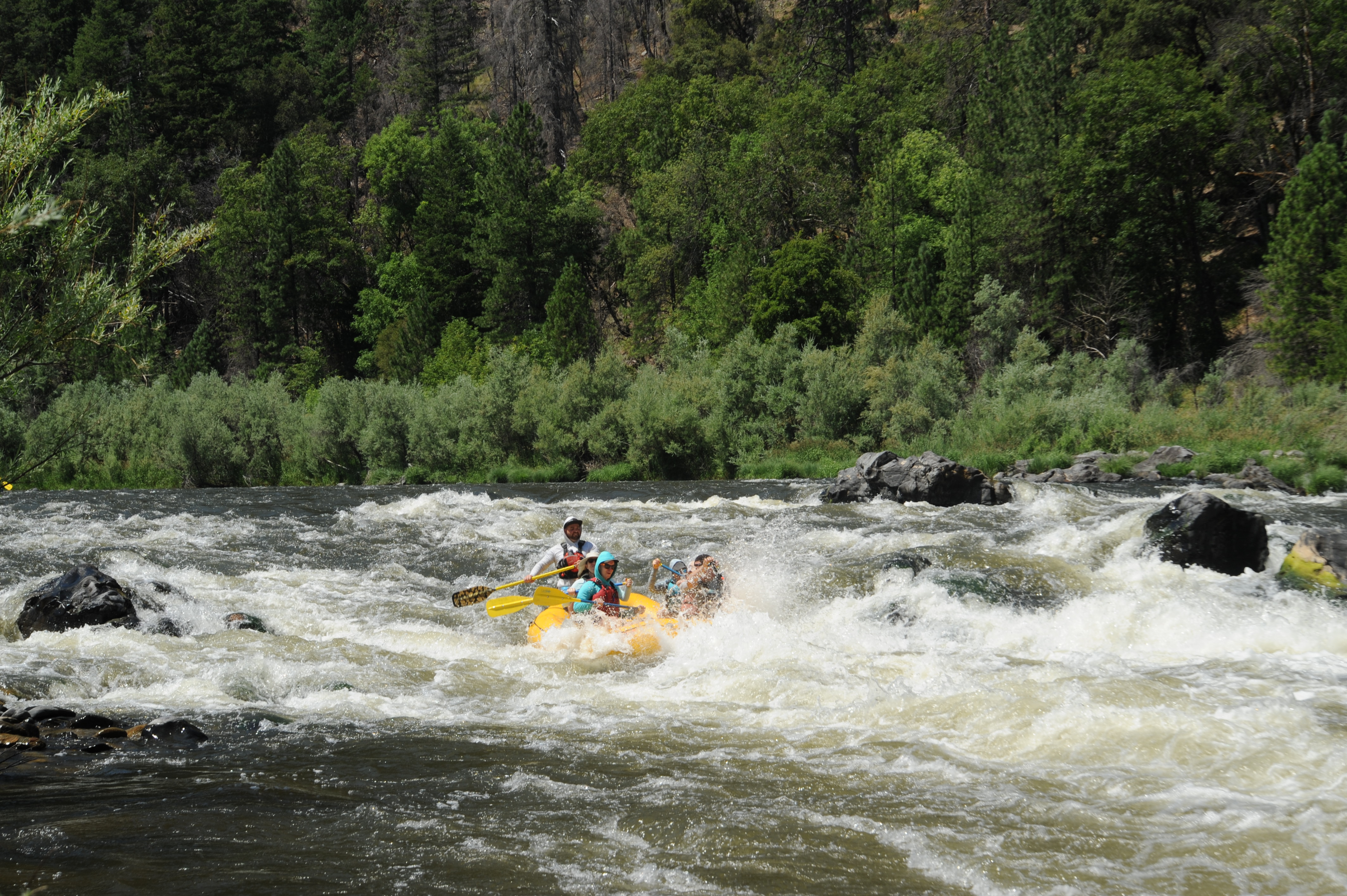 Upper Savage Rapid