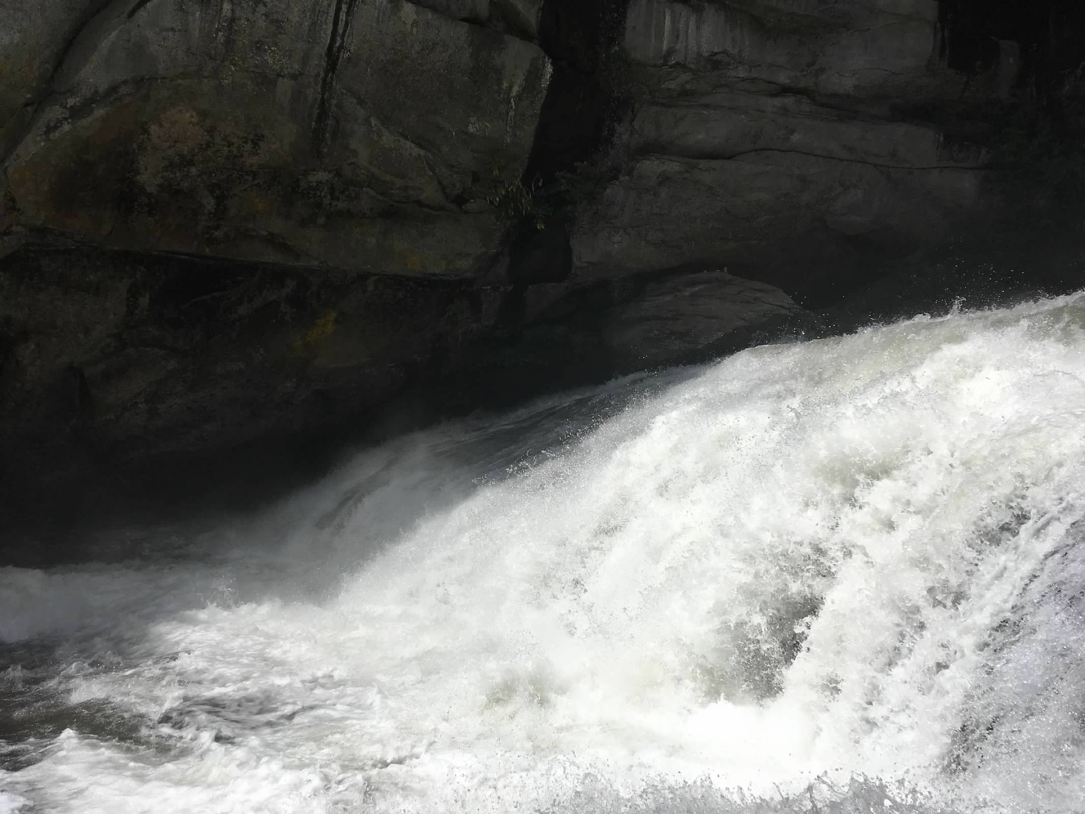Bird rock falls
