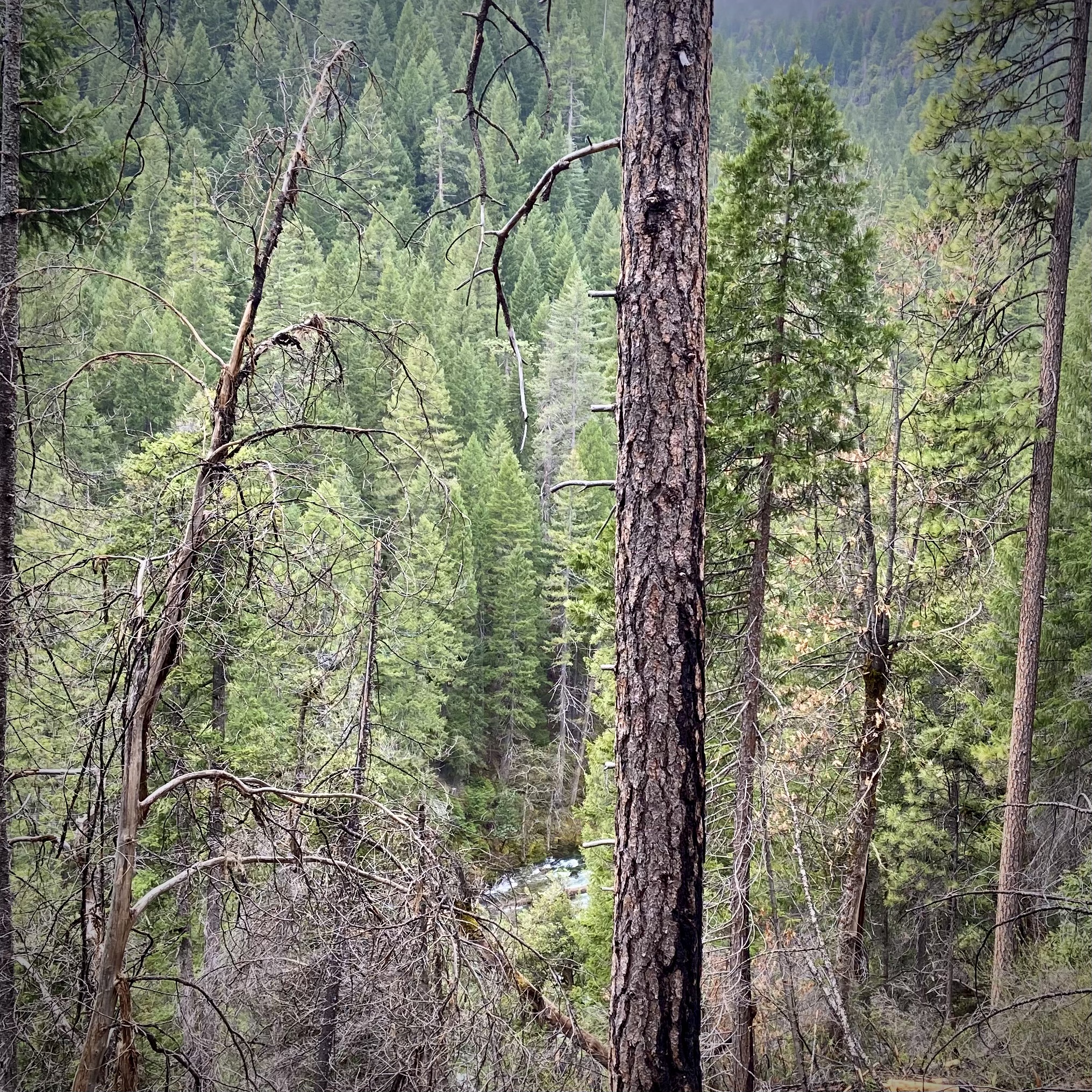View from trail