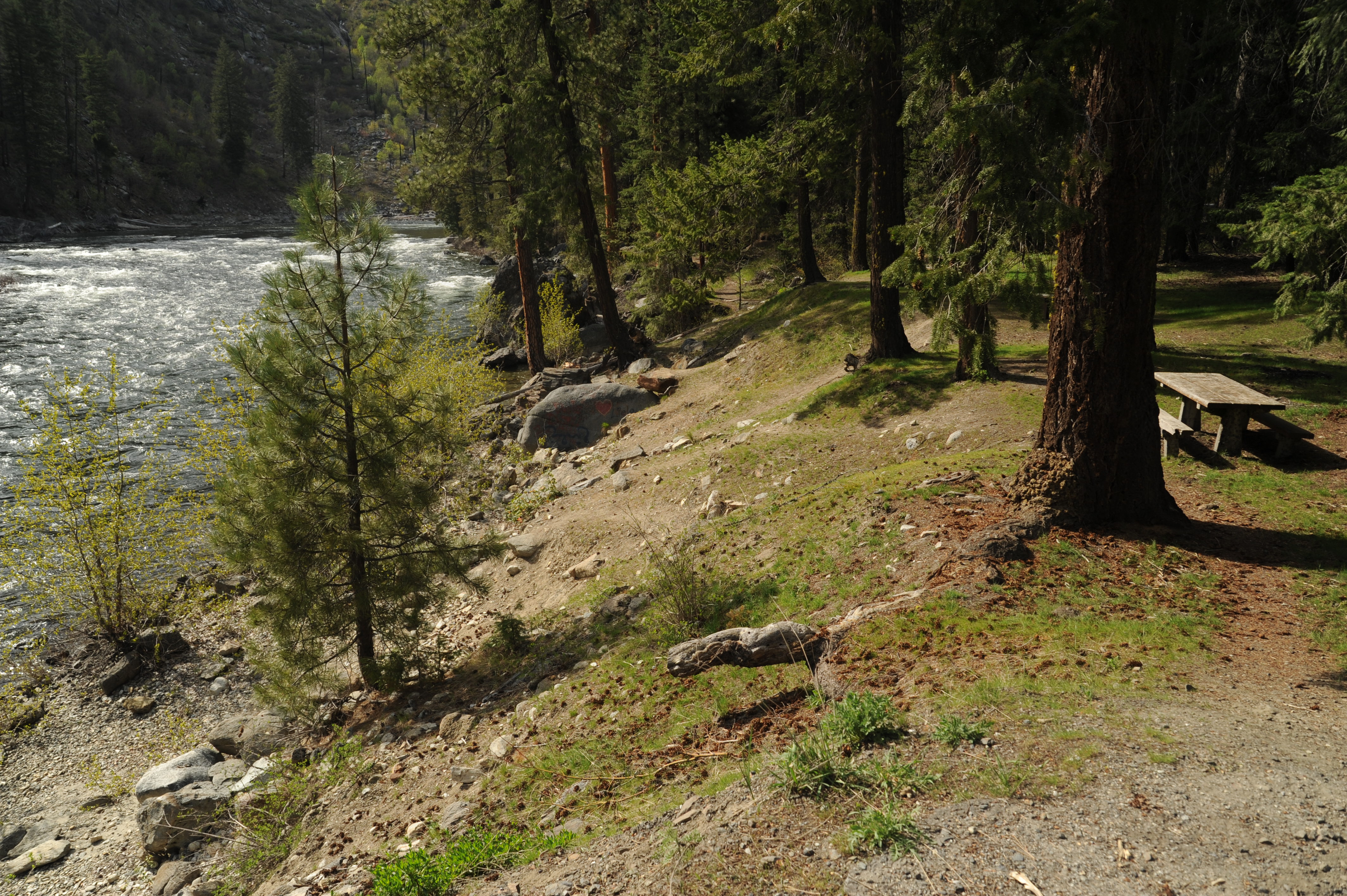 Swiftwater Picnic Area Access