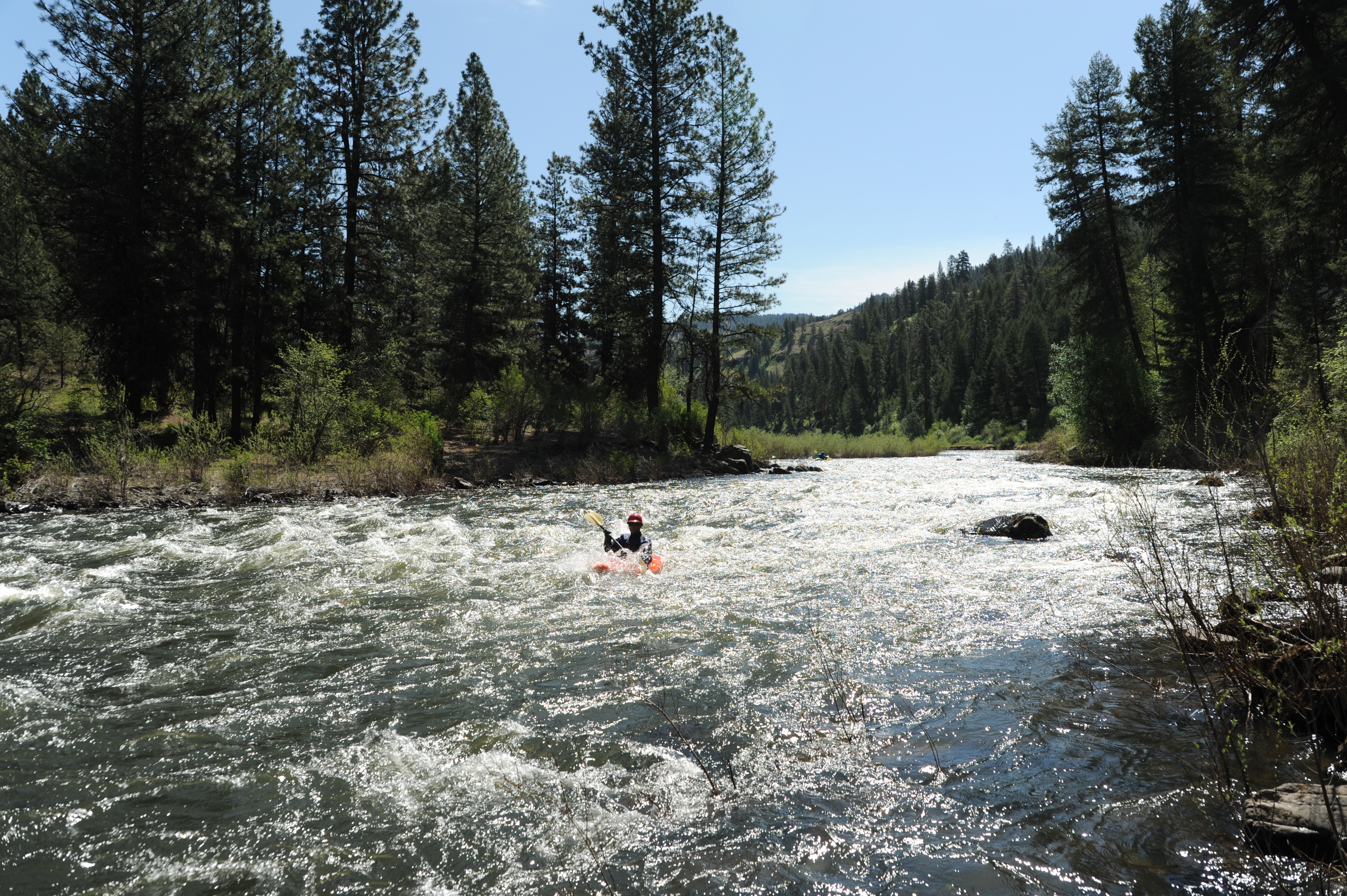 Chainsaw Rapid