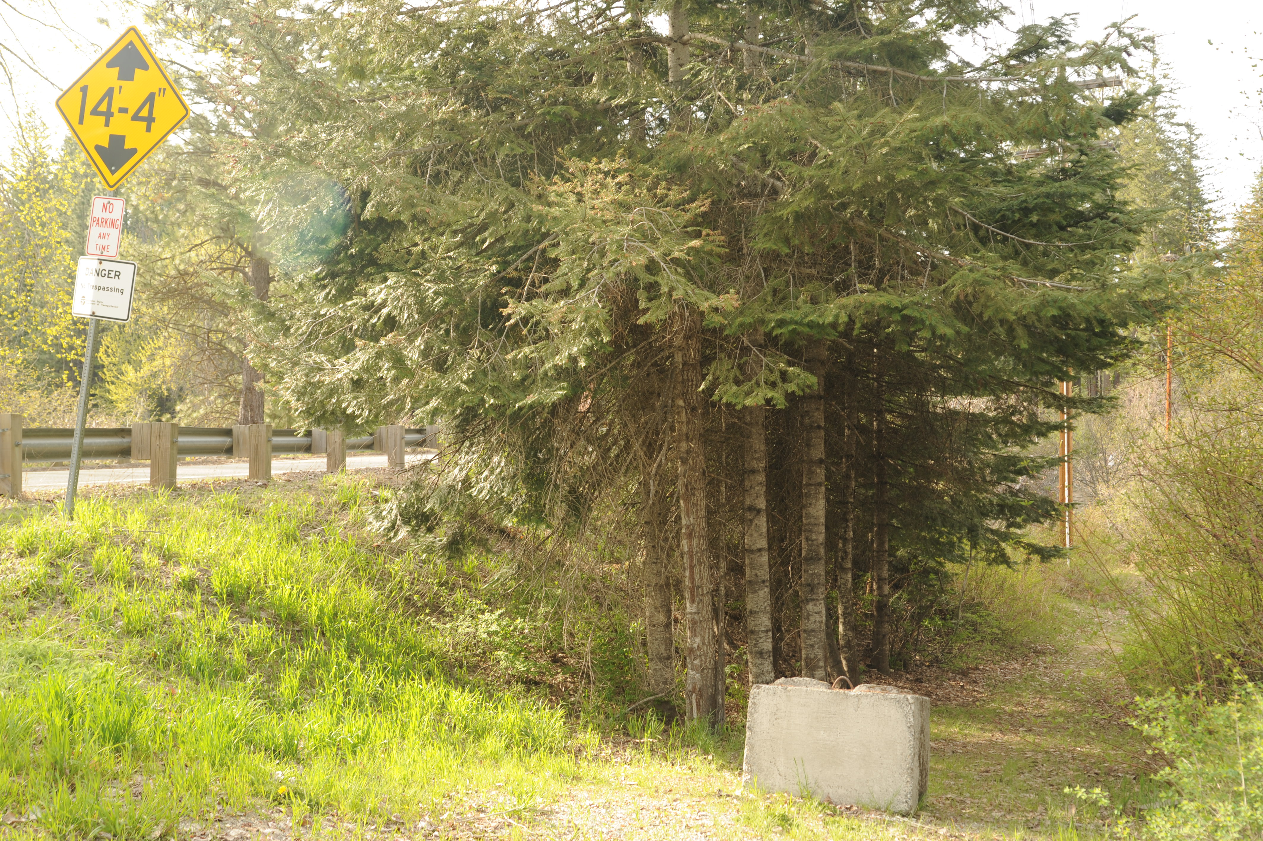 Brae Burn Road Put-In