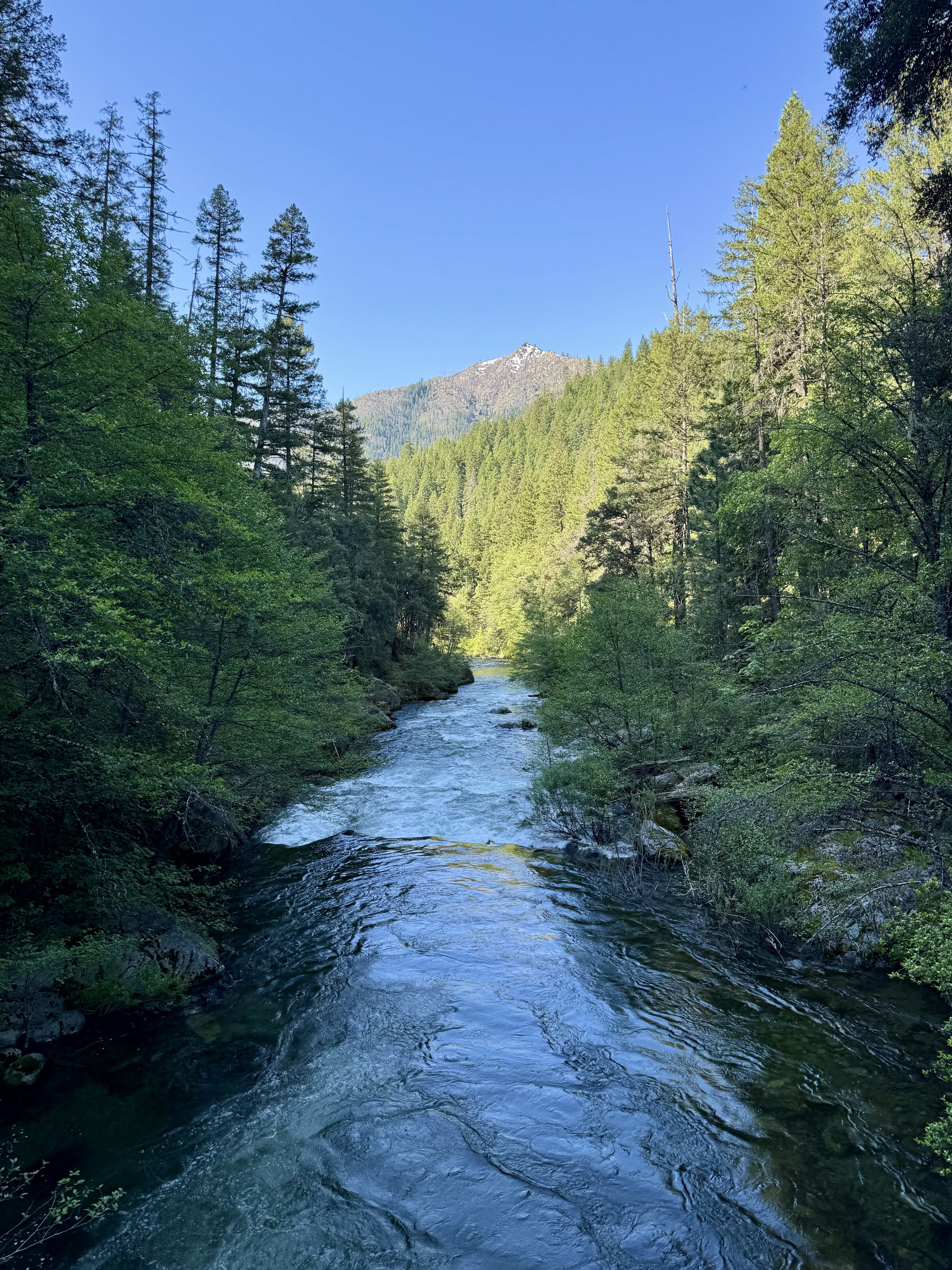 Mule Bridge River Access